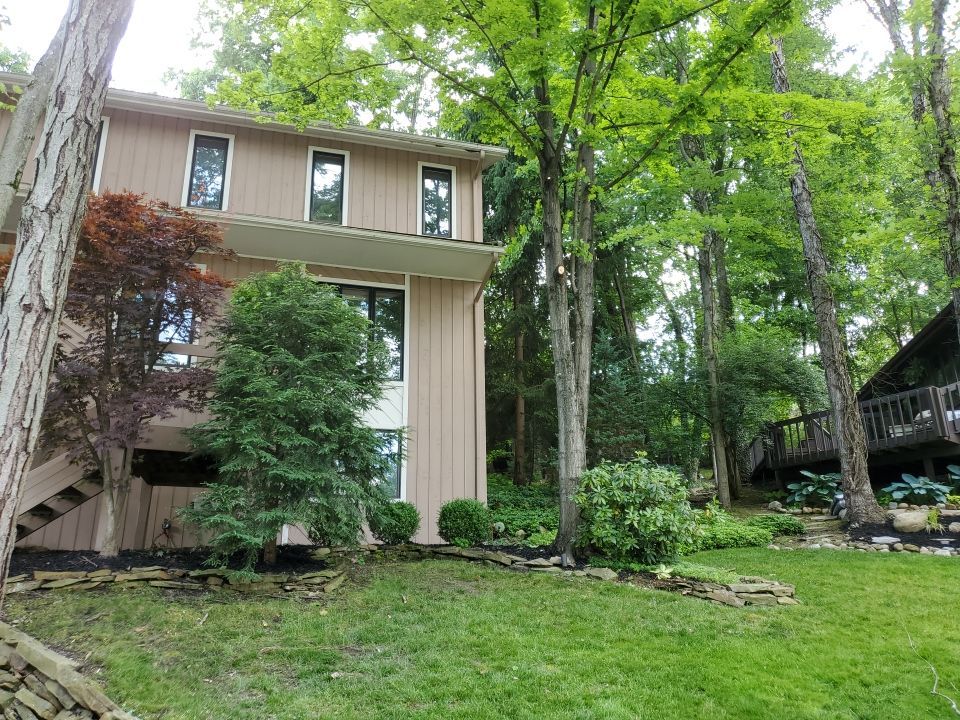 Tree Trimming using Tree Pruing by Mike Jones & Sons Tree Service LLC 