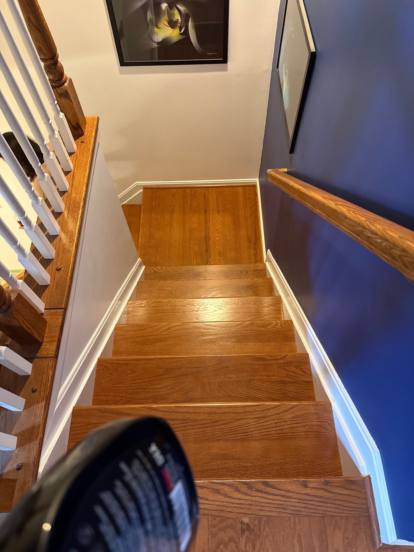 Deck Repair, New steps, New Paint job  by Alpha Design Services