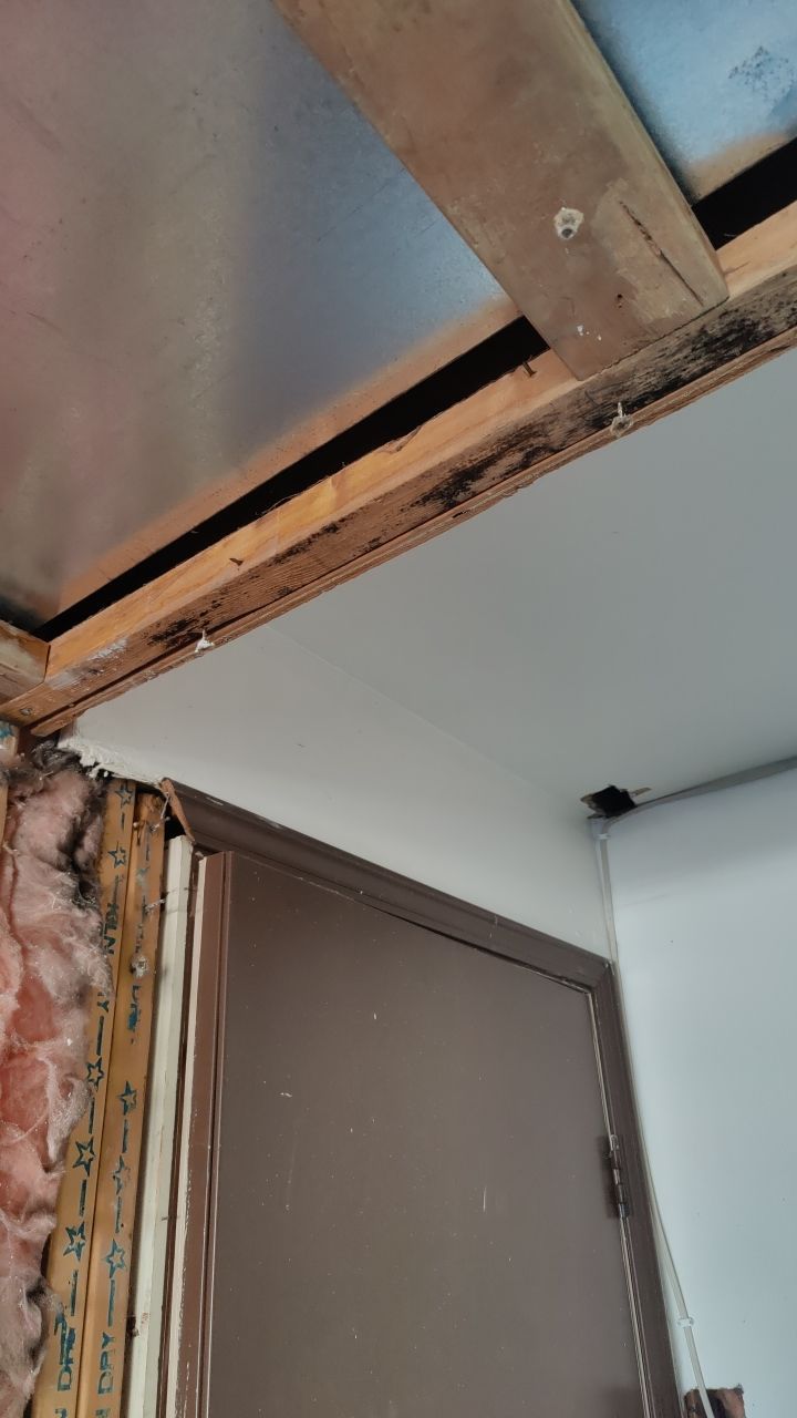 Water Damage  by Accountable Home Services