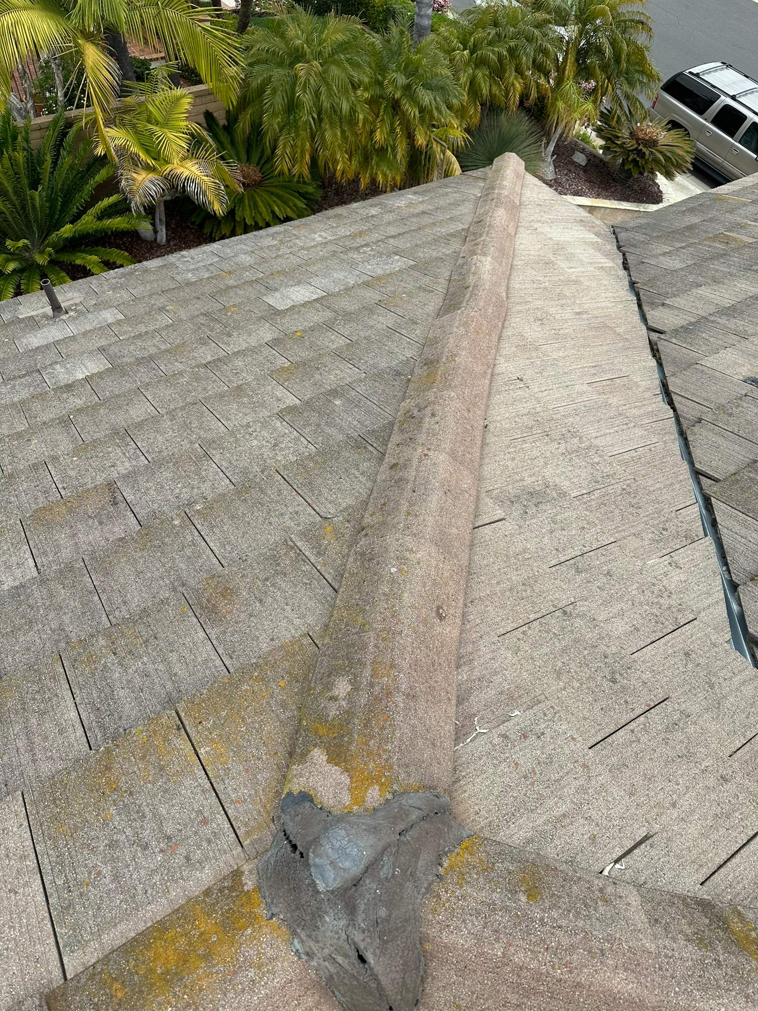 Home insurance wouldn't renew without a wash! by Property Cleaning Experts