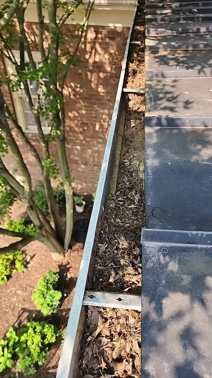 House Wash using cleaner by Power Wash Masters LLC