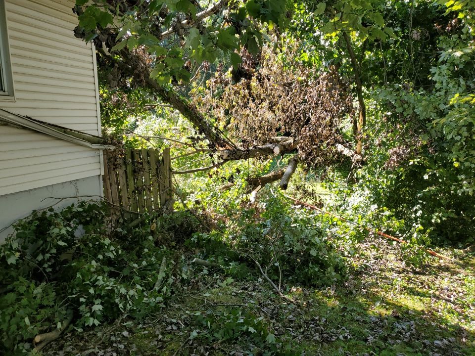 Storm Damaged Tree Removal  by Mike Jones & Sons Tree Service LLC 