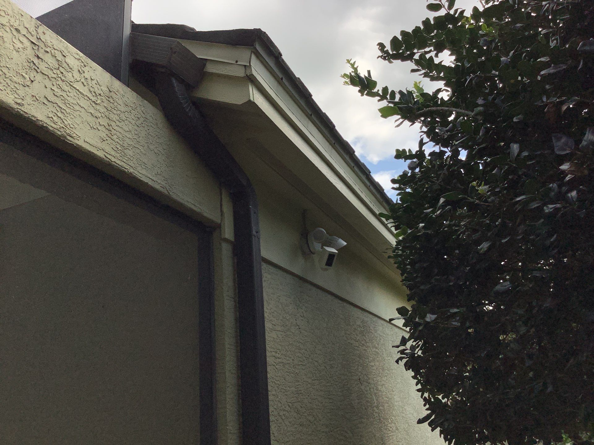 Gutter Project 7 inch seamless gutters using Cameo Gutters in Sarasota FL by Gutter Professors