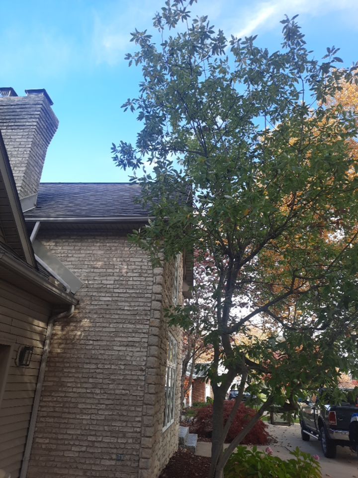 Tree Trimming using Tree Pruing by Mike Jones & Sons Tree Service LLC 