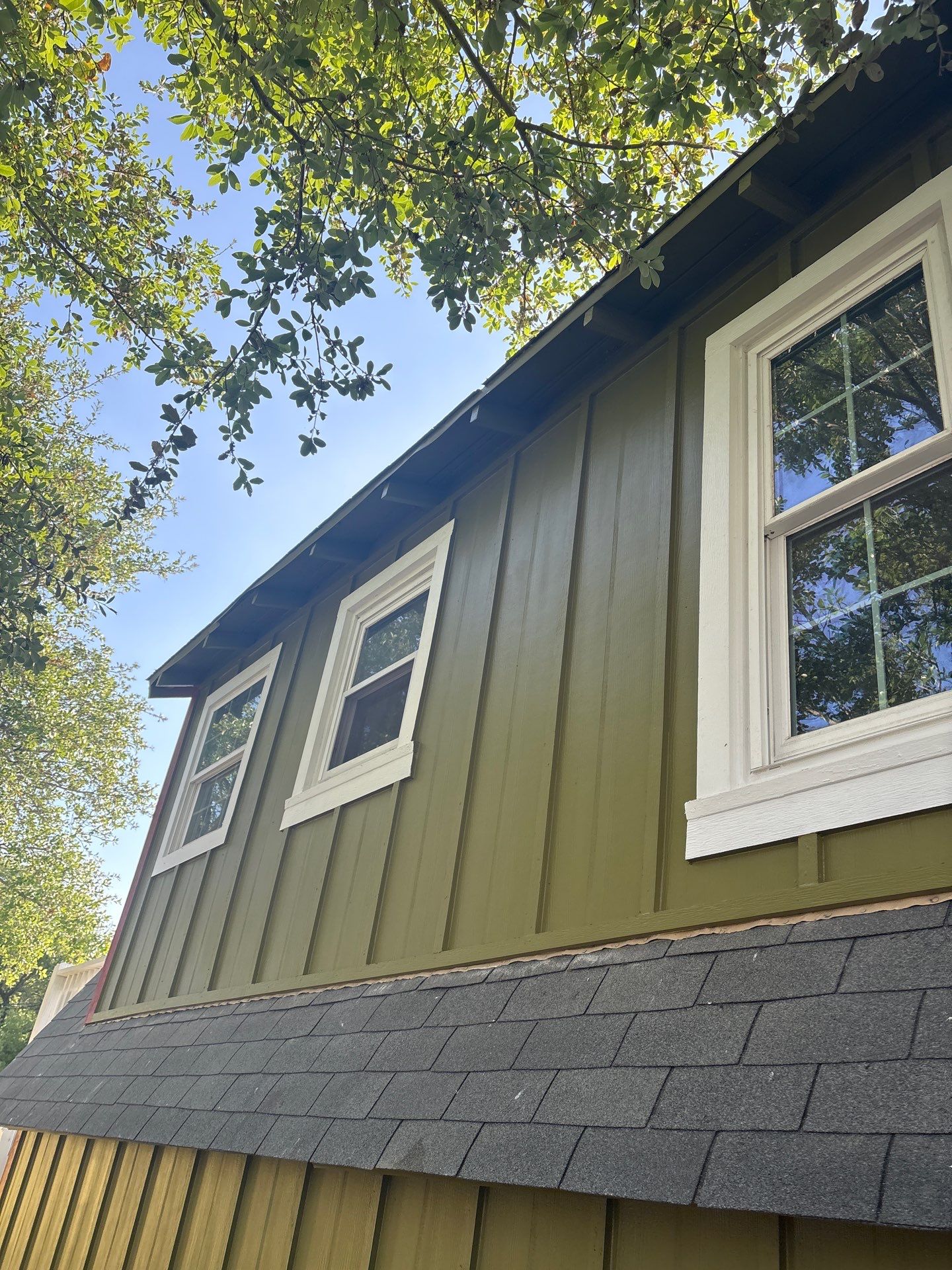 Olive you a Lot! by Bayfront Roofing and Construction