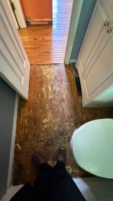 Water Damage Restoration