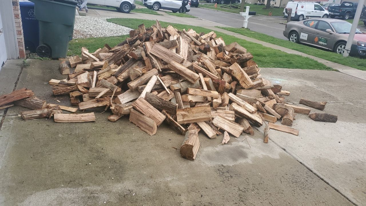 Tree Removal using Tree Removal by Mike Jones & Sons Tree Service LLC 