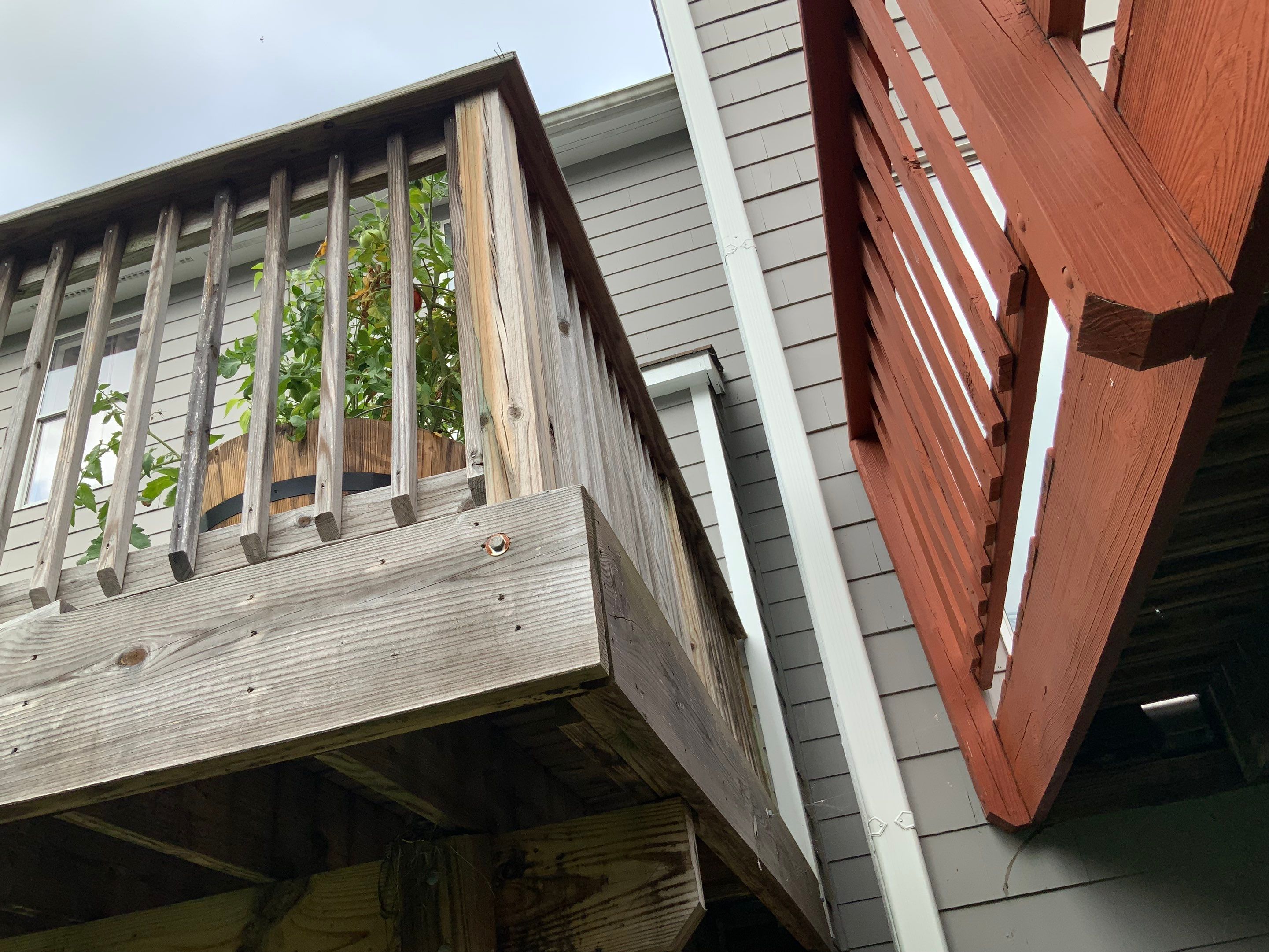 Deck Repair using Olympic Elite stains by Alpha Design Services