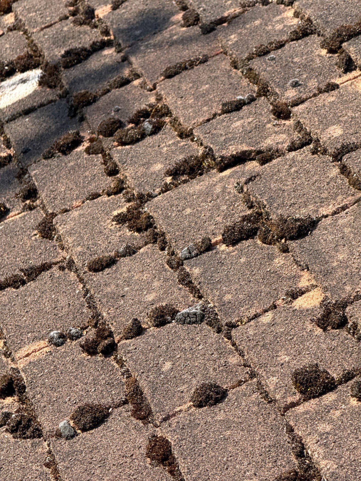 Roof Clean - Gutter Clean - Biocide Treatment by Ges Exterior Cleaning ltd