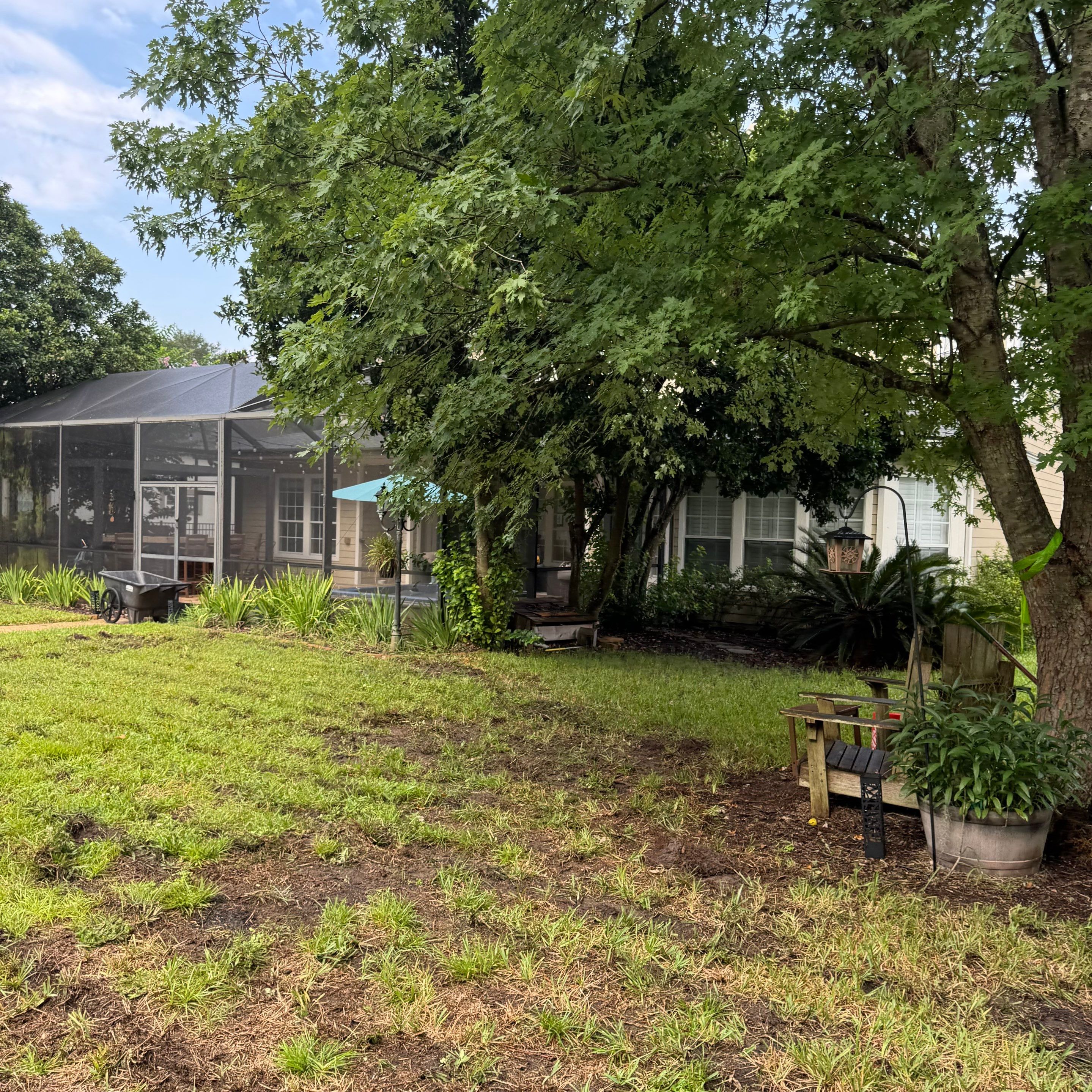 Residential | Sod Installation & Tree Trimming by ProGreen Services