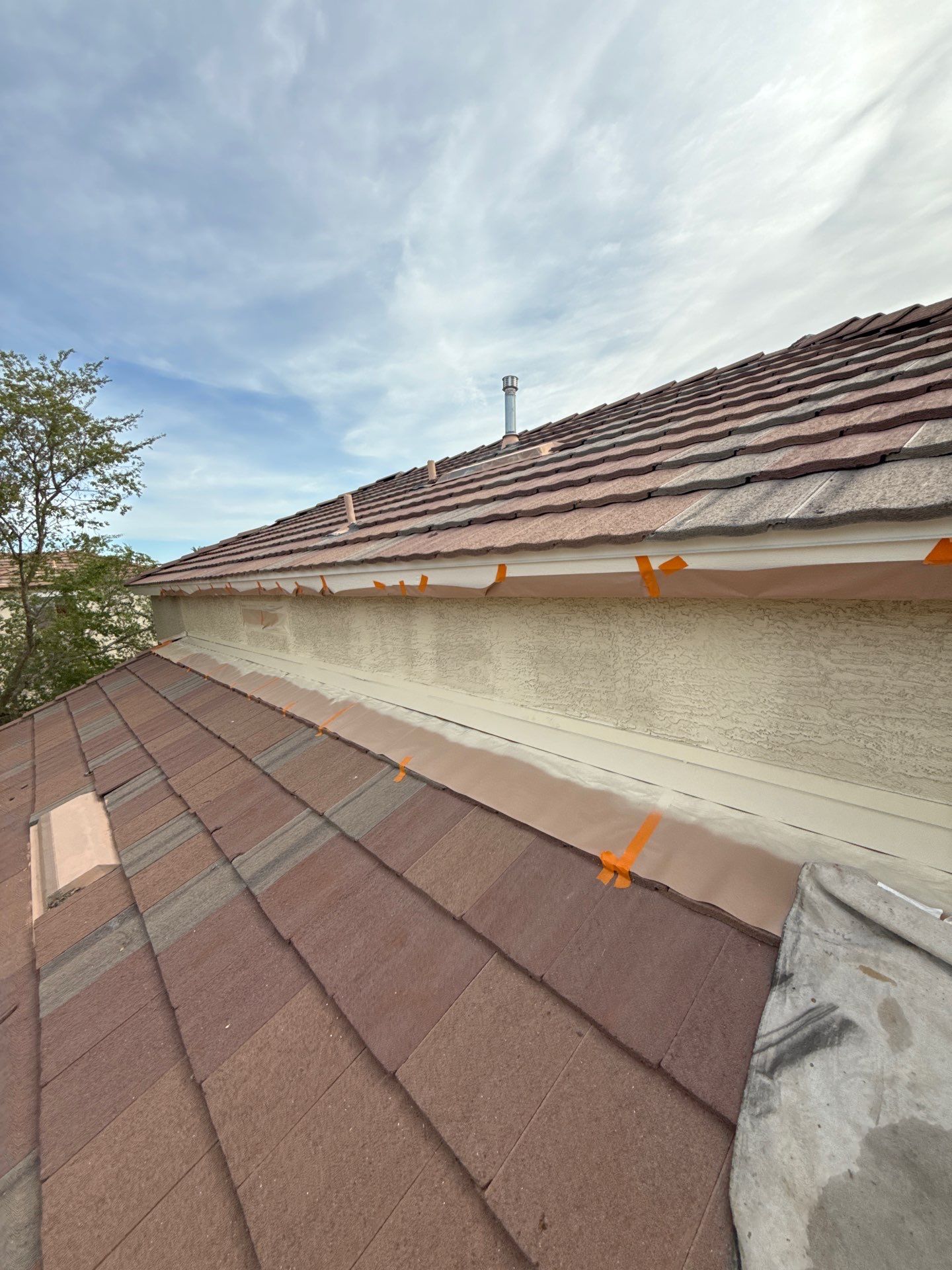 Exterior Painting - Gilbert by Crash of Rhinos Painting & Garage Floors