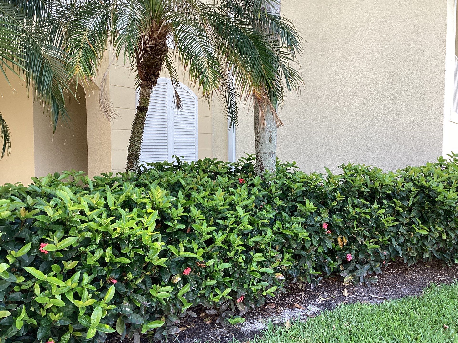 Residential Gutter Upgrade in Fort Myers FL by Gutter Professors