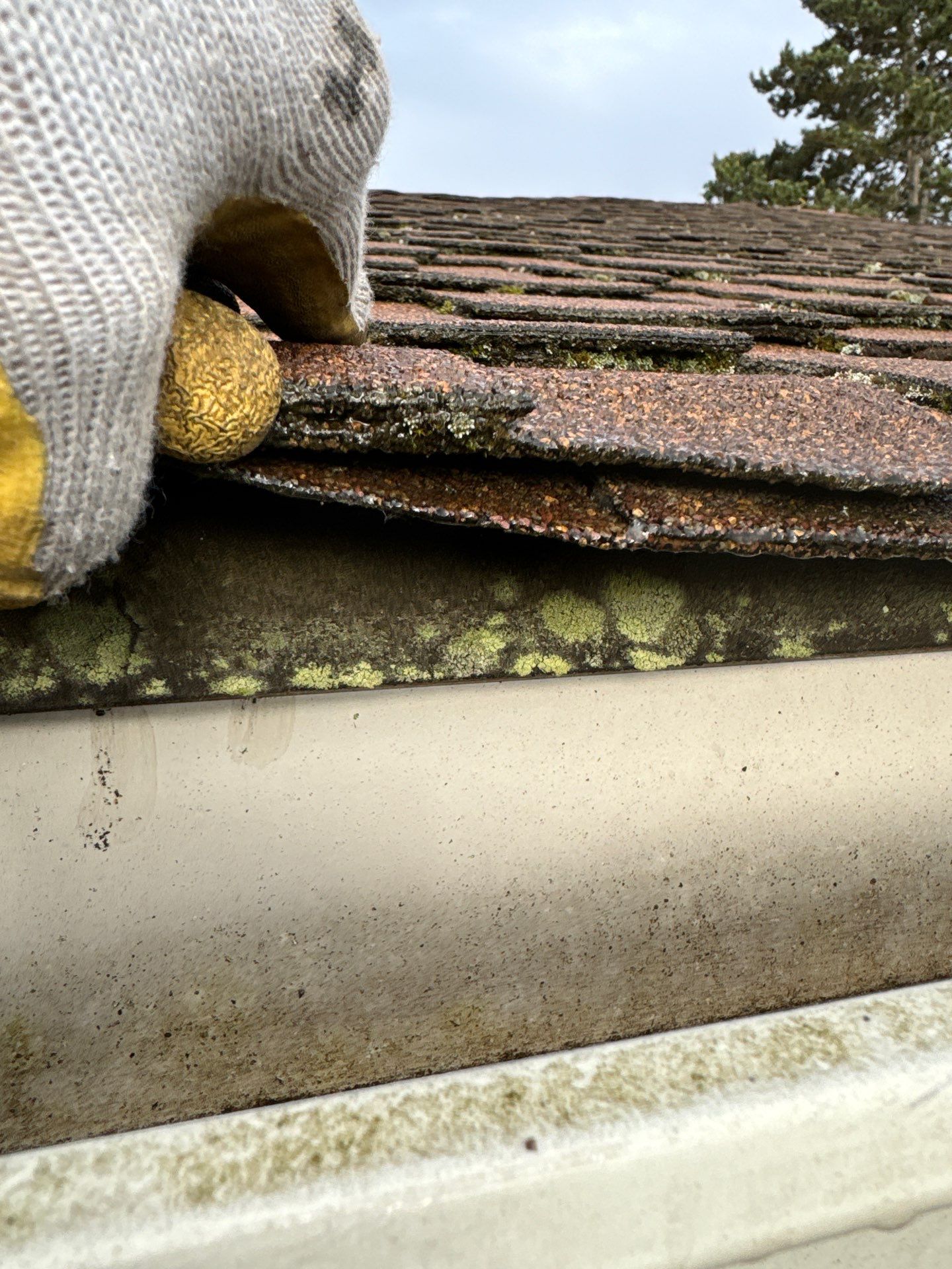 Project in Seattle by Connolly Construction Company