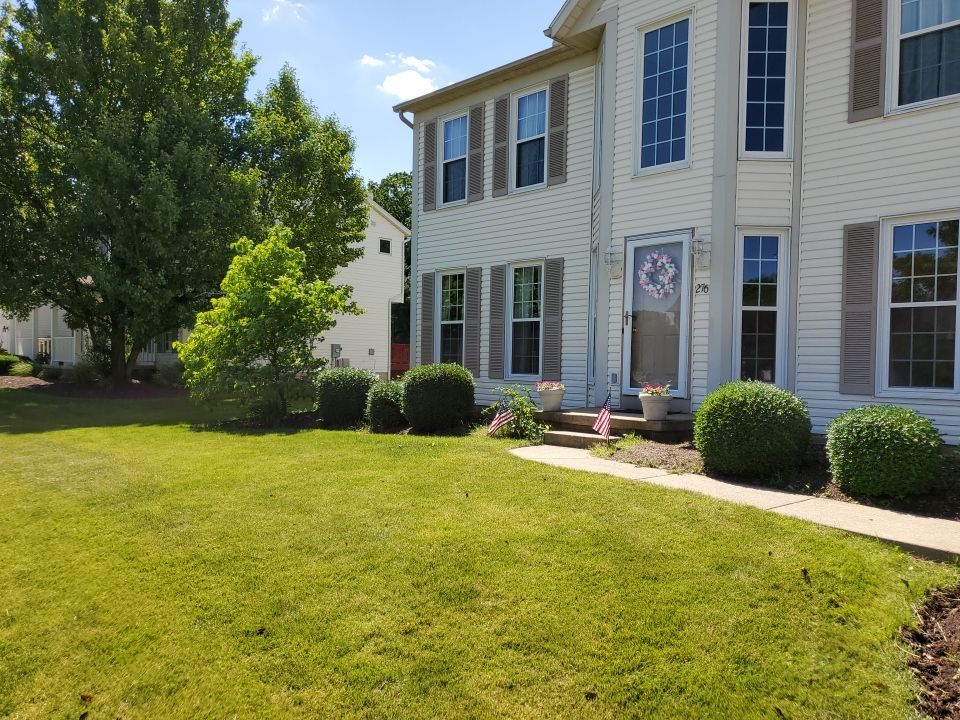 Tree Removal using Tree Removal by Mike Jones & Sons Tree Service LLC 