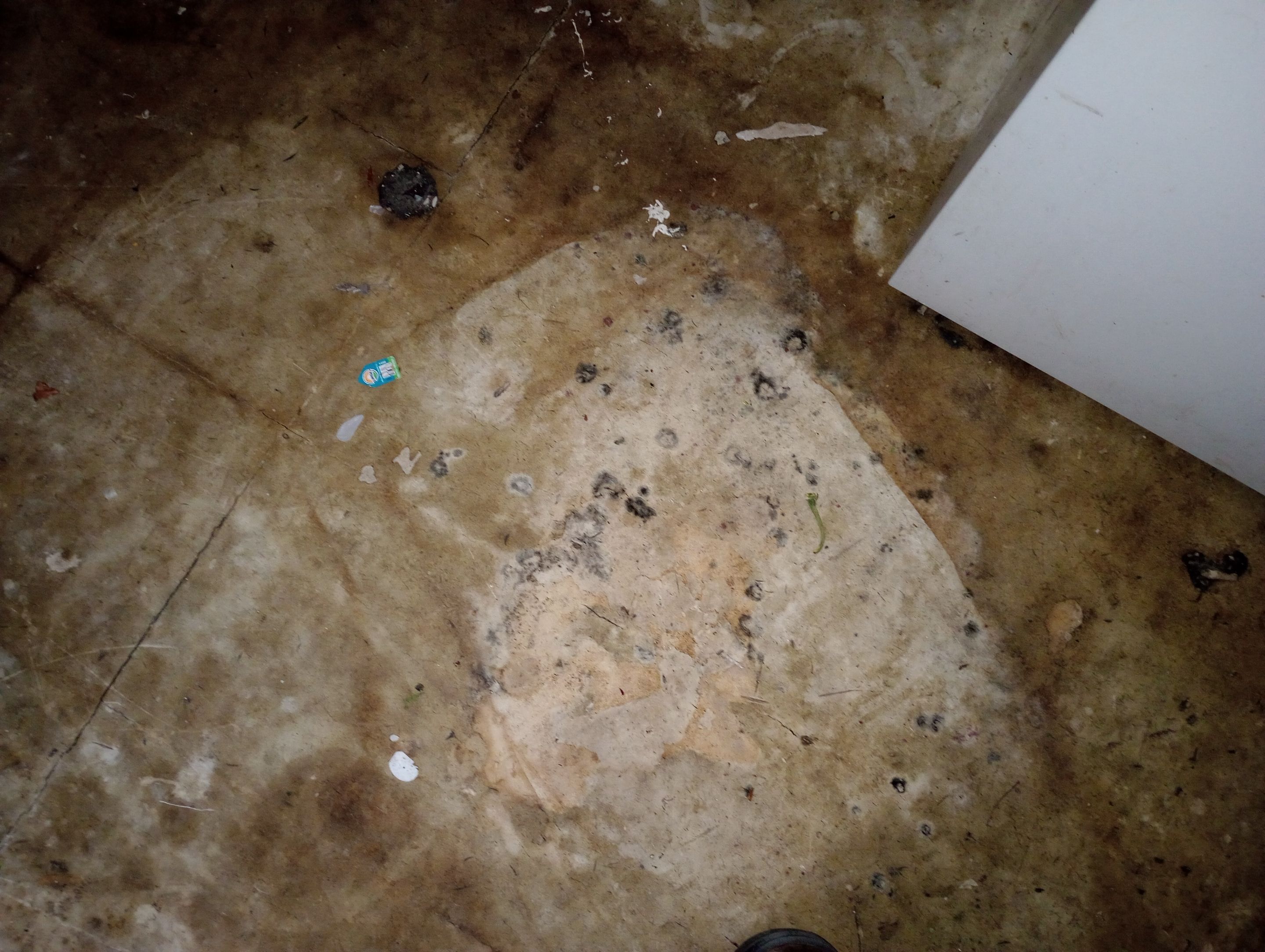 Mold Remediation After Water Damage in a Home in Clarksville, IN by ANR Restoration