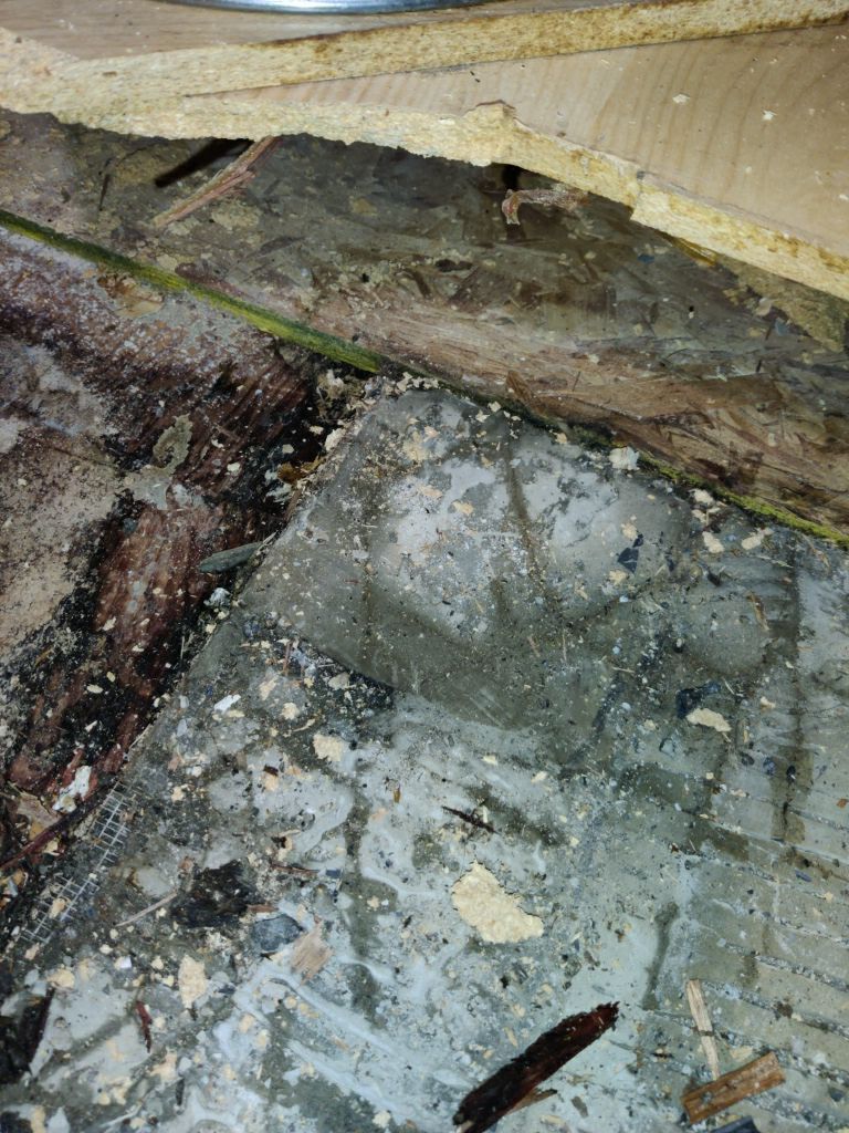 Mold Remediation using Containment by Accountable Home Services