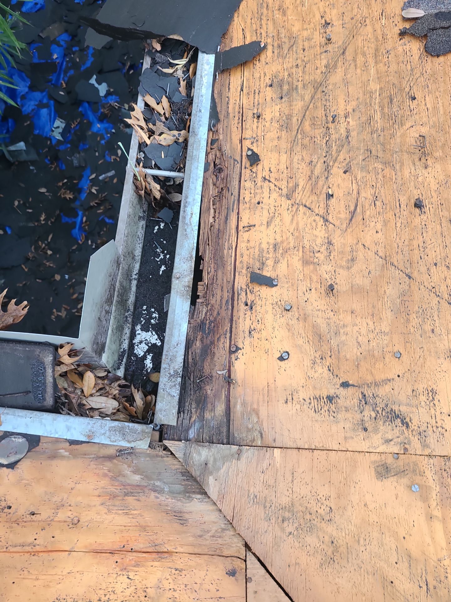 Roof Replacement Deer Park by Roof Repair Company