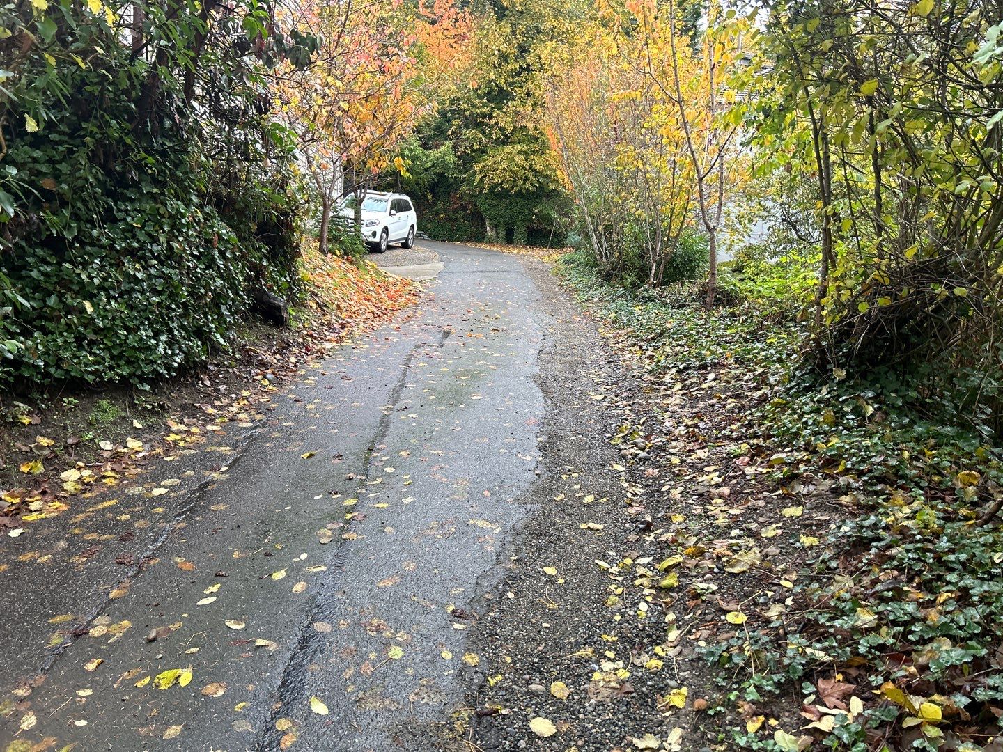 Asphalt Road Repair | Mercer Island  by Jireh Asphalt & Concrete Inc 
