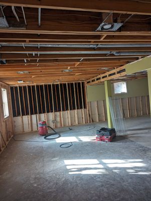 Mold Remediation in Louisville, KY