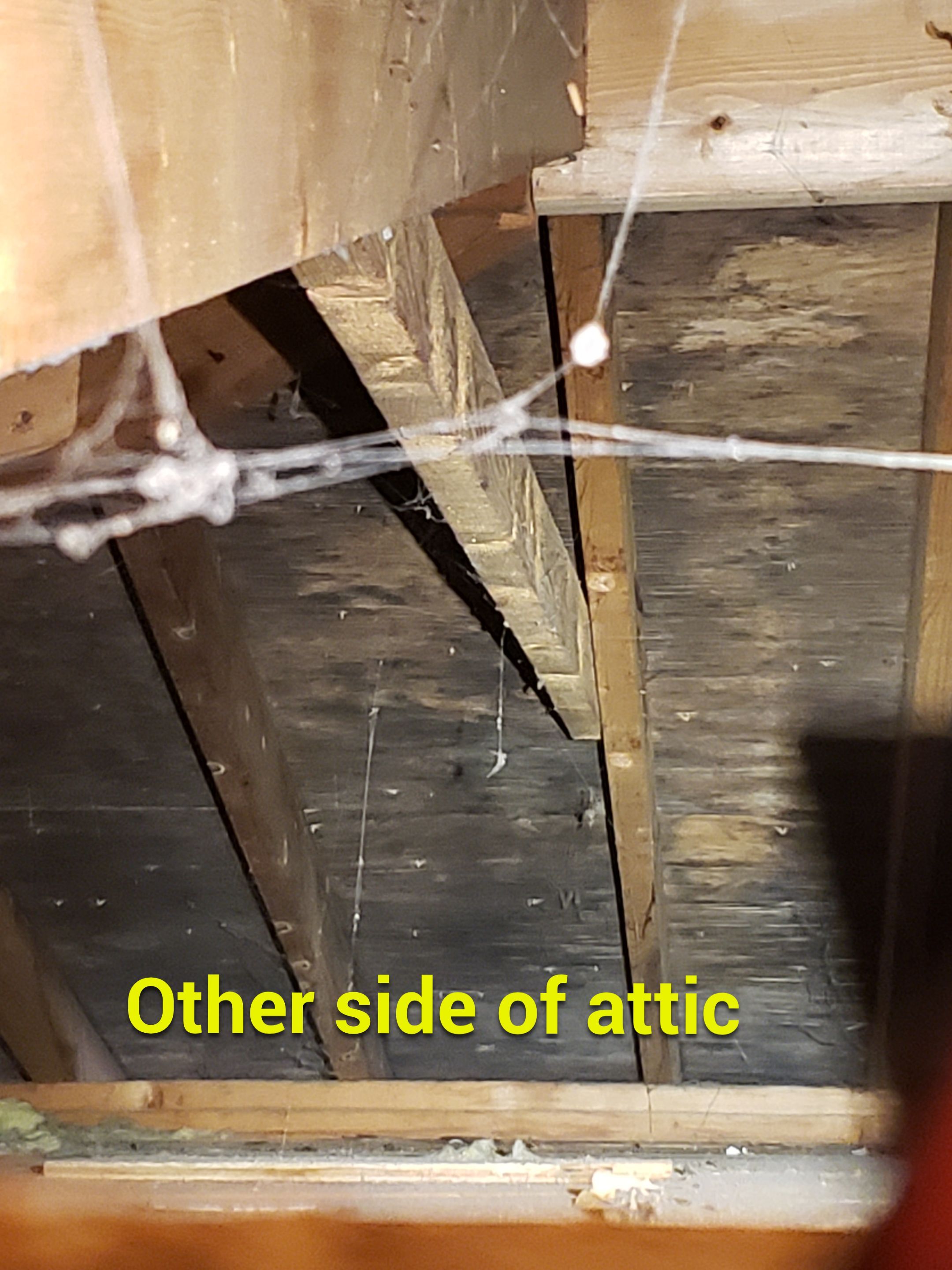 Attic Mold Remediation by Chicagoland Water Medics
