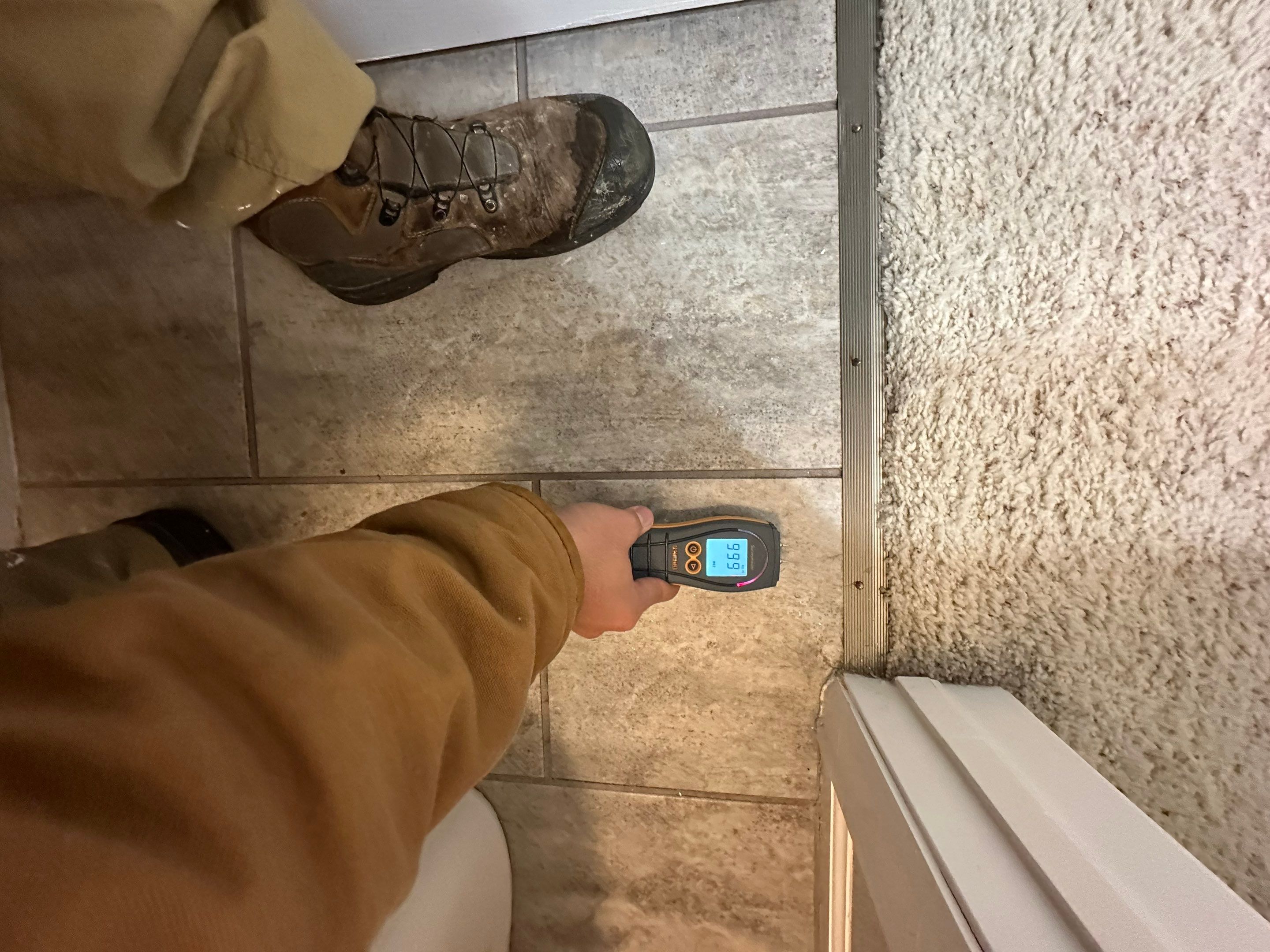 Water Damage in Highlands Ranch by Alpha Restoration 