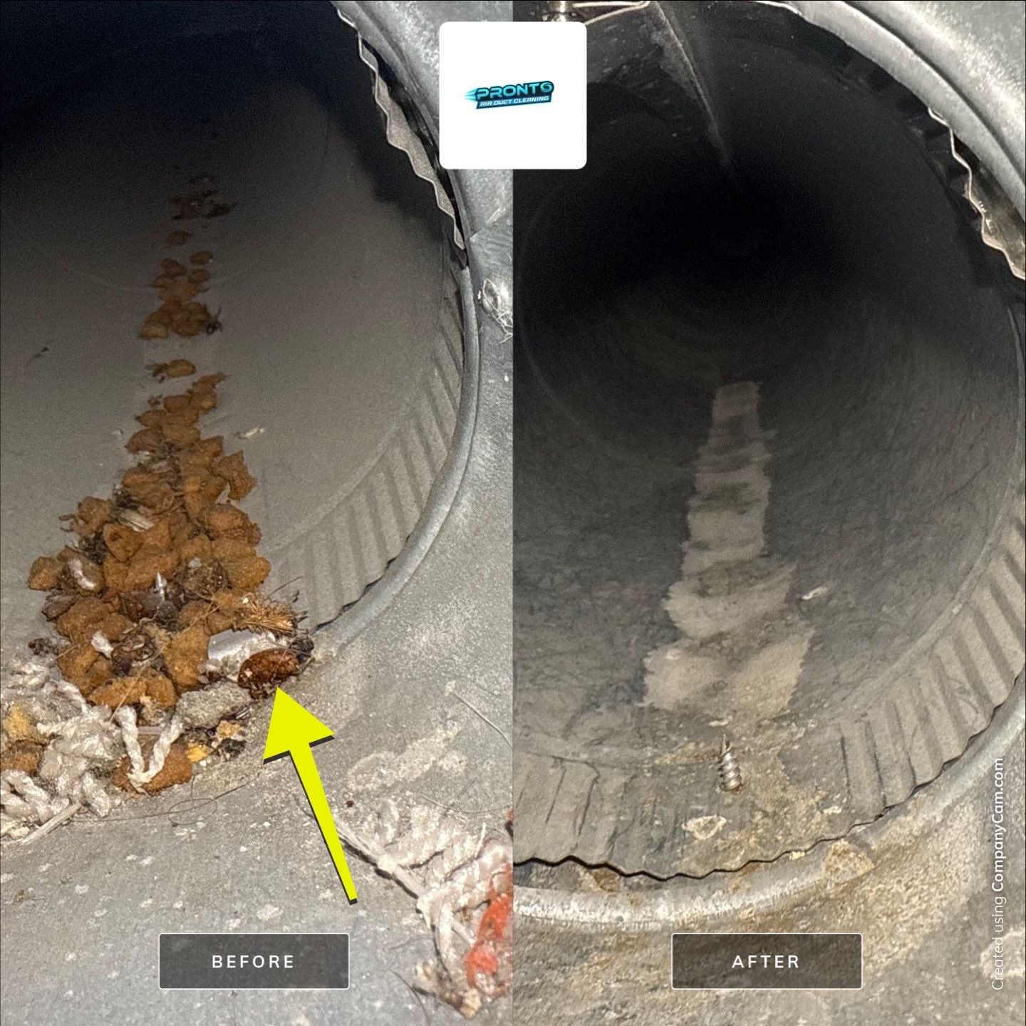 Pronto Air Duct Cleaning featured photo.