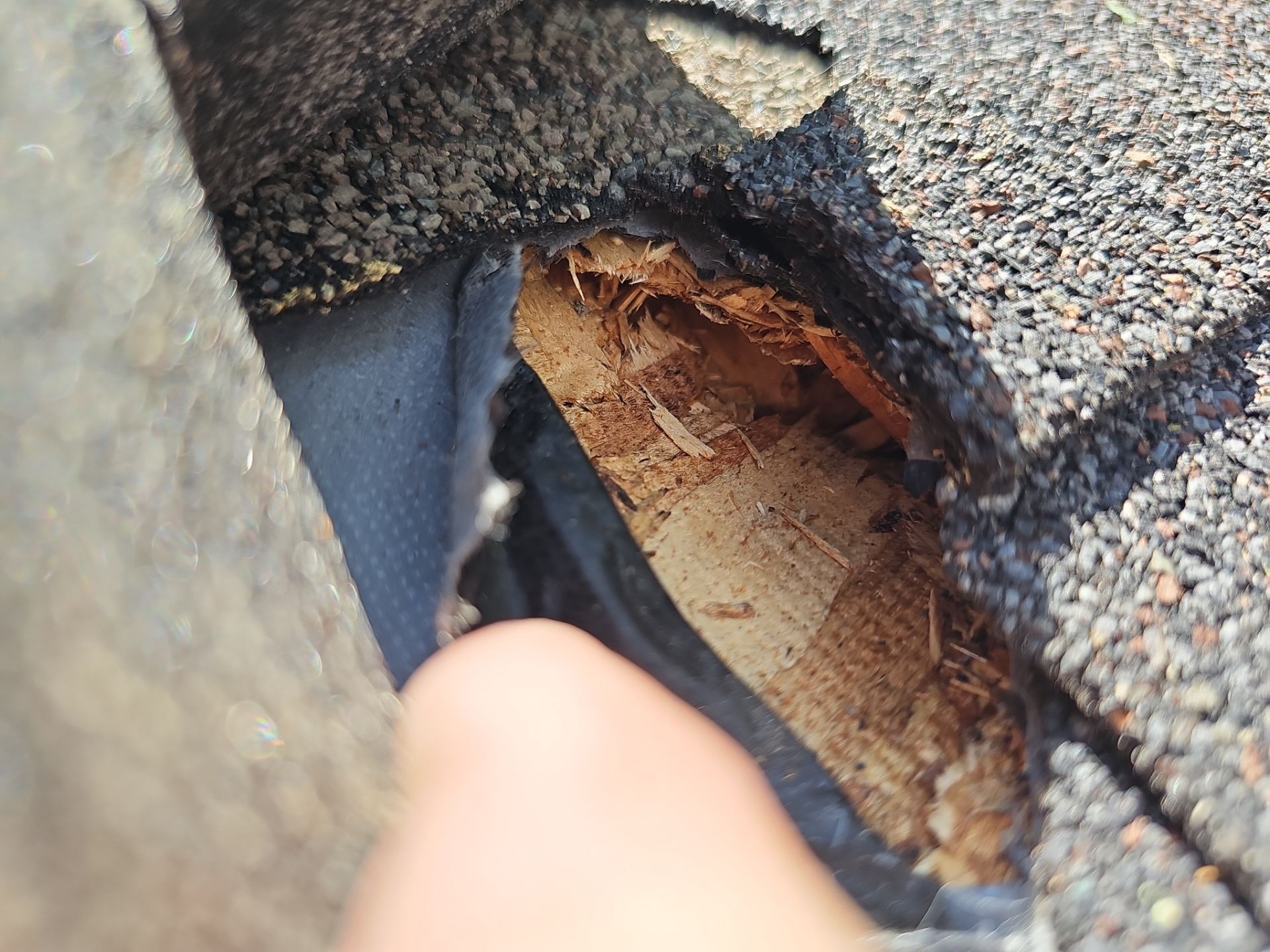 Wind & Tree Impact Roof Repair in Ord by Loyal Nine