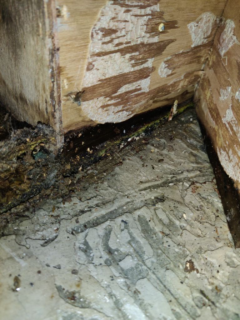 Mold Remediation using Containment by Accountable Home Services