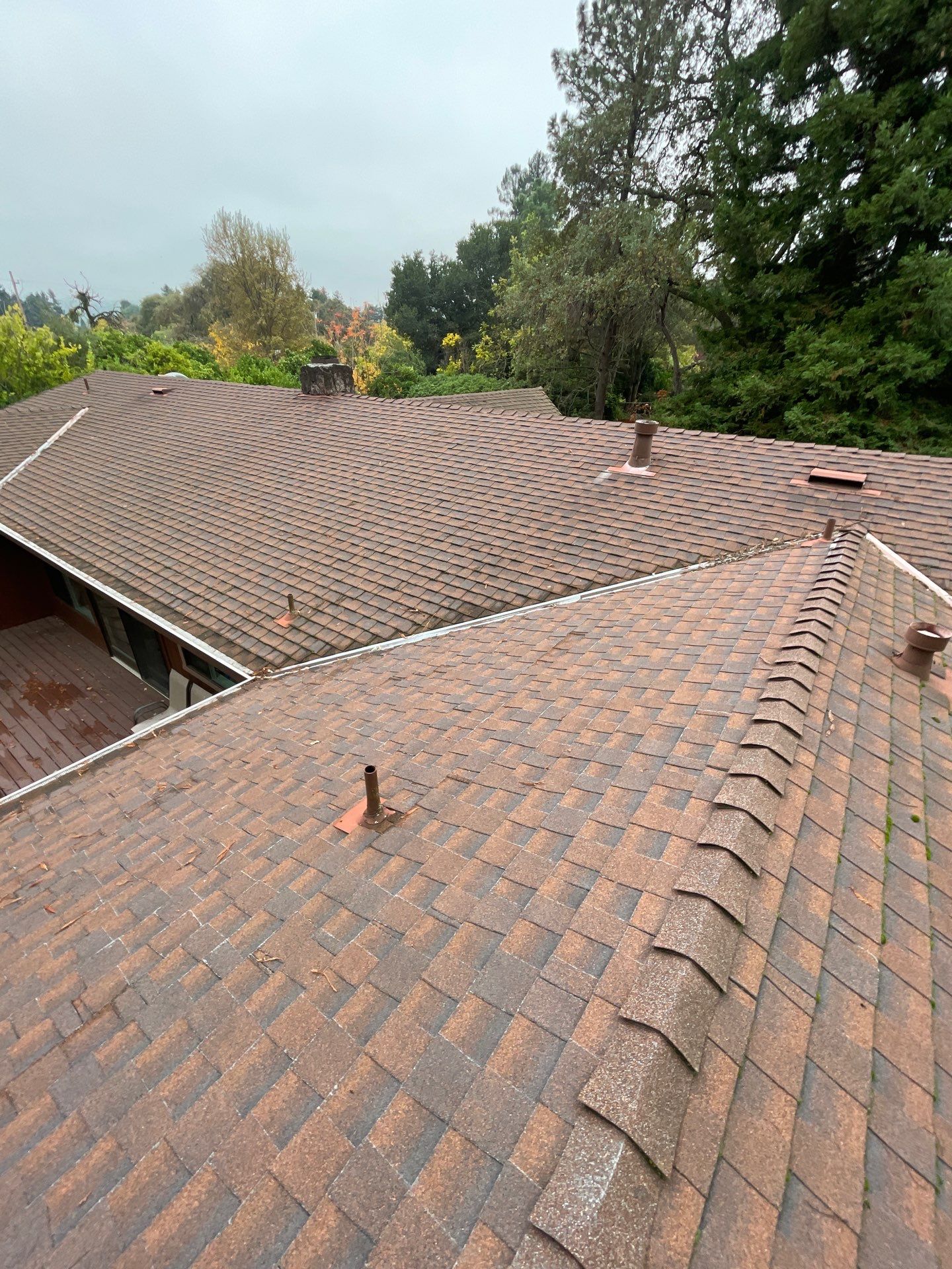 Roof Rejuvenation using Roof Maxx Treatment by Roof Maxx of Folsom