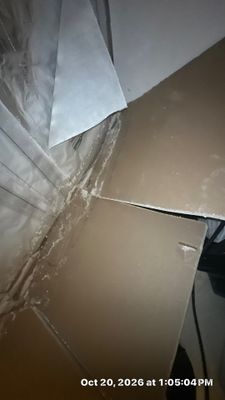 Ceiling Leak Repair — Naples, FL