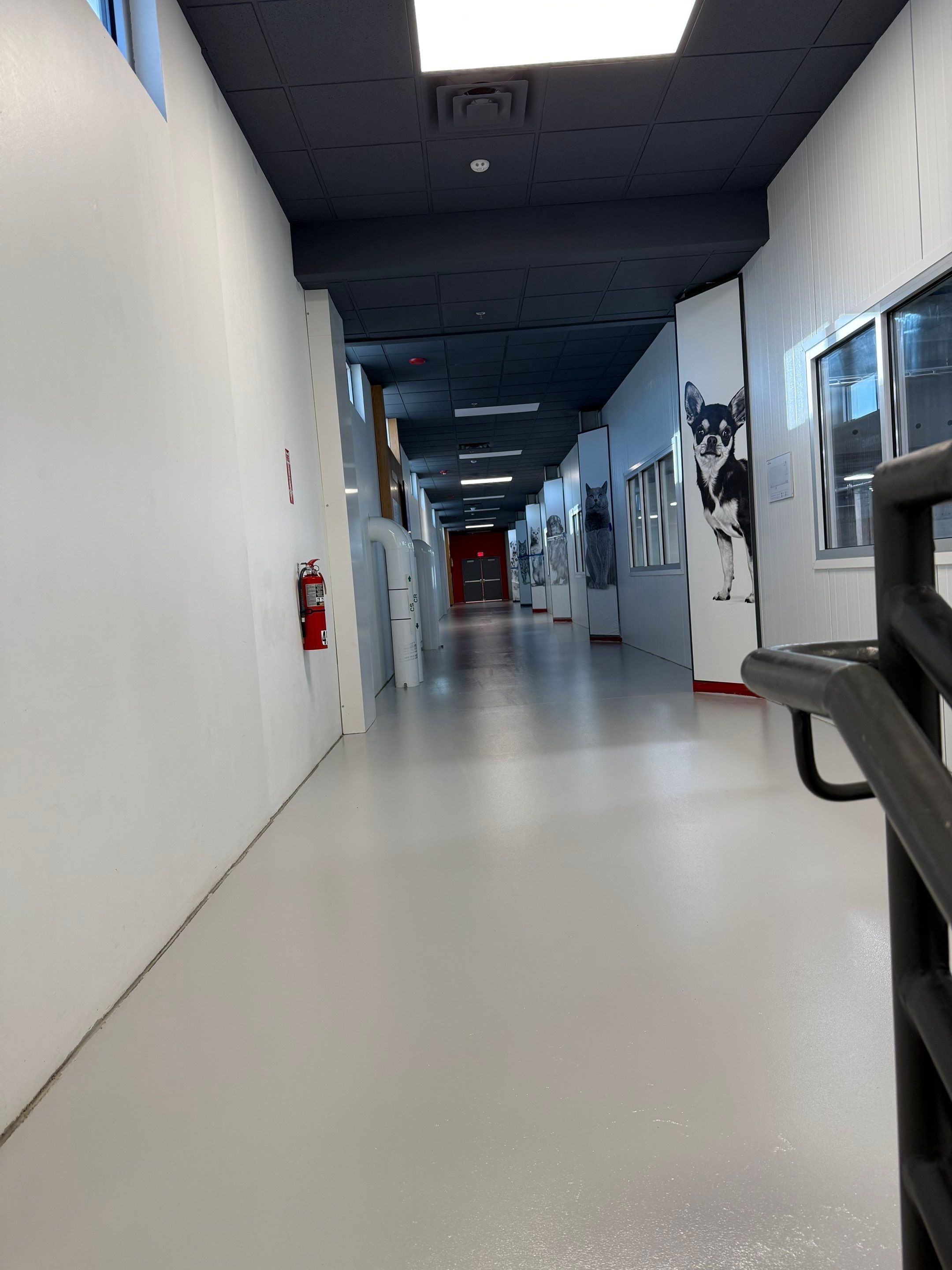 Royal Canine - Floor Renovation by Select Painting, Coatings & Garage Cabinets