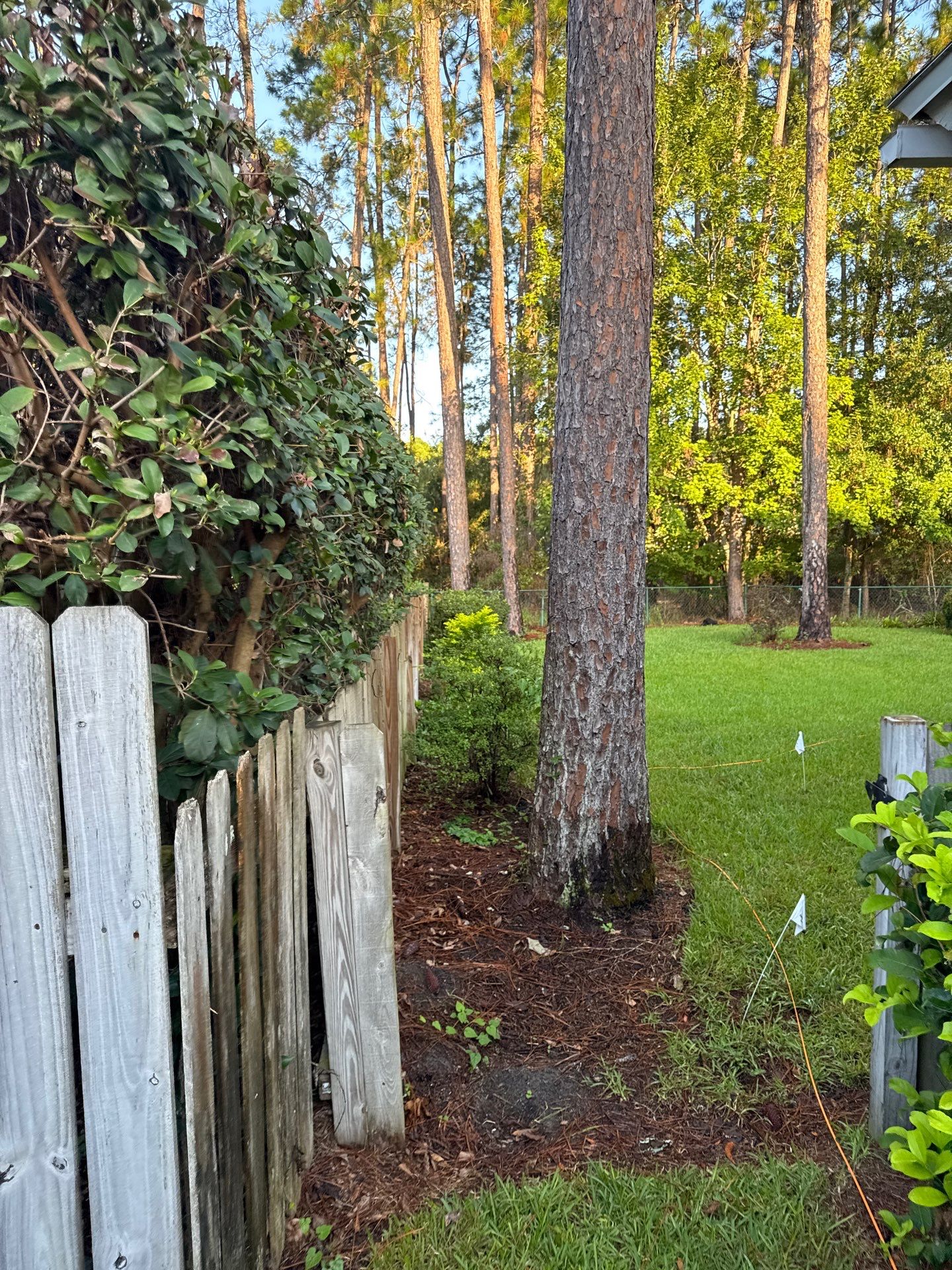 Residential | Shrub Trimming by ProGreen Services