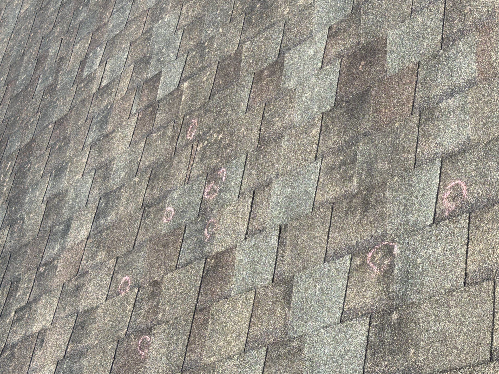 Georgina by Boss Hogg Roofing