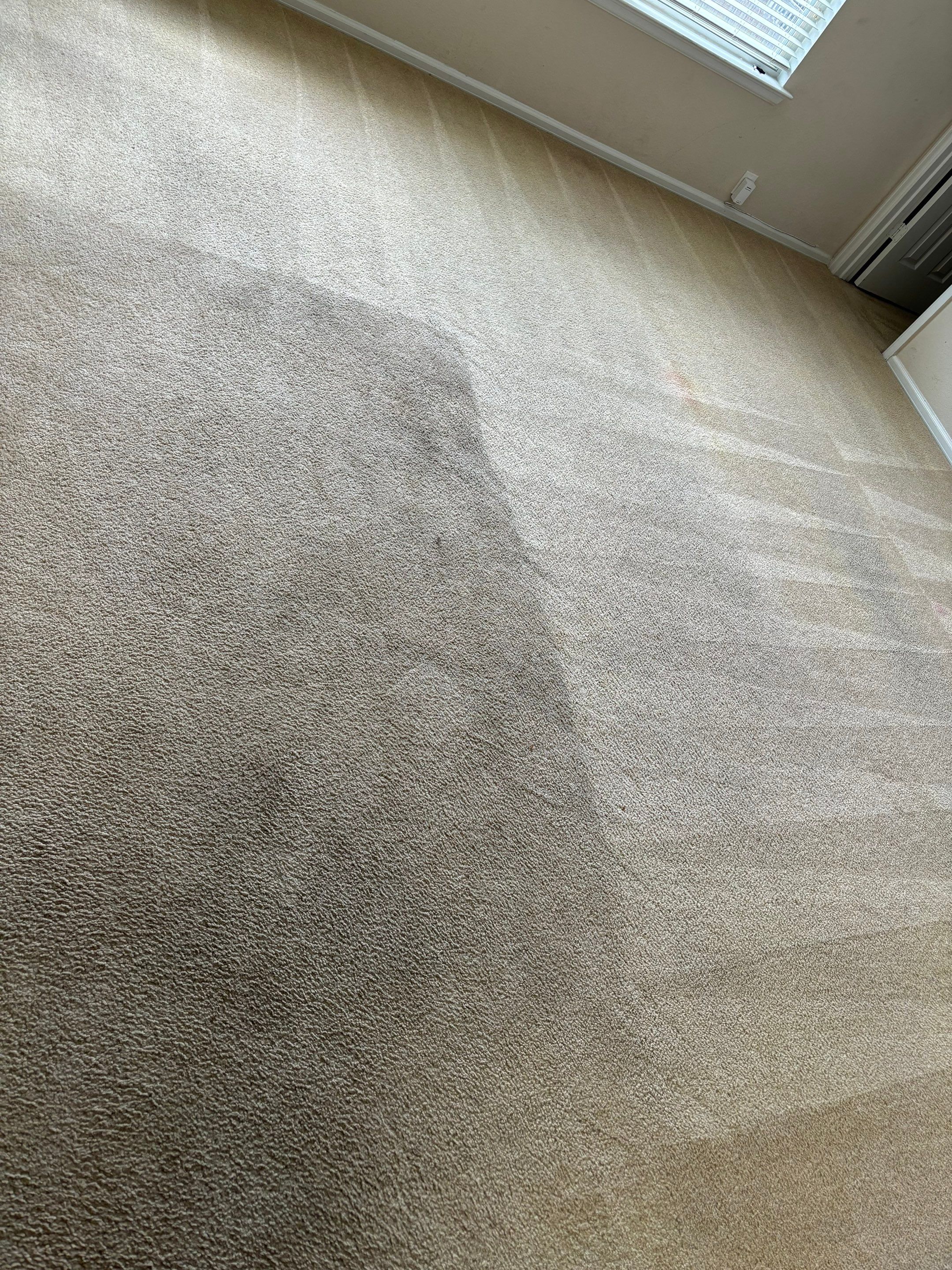 carpet cleaning service is removing stains and dirt from a light colored carpet leaving a clean and fresh area