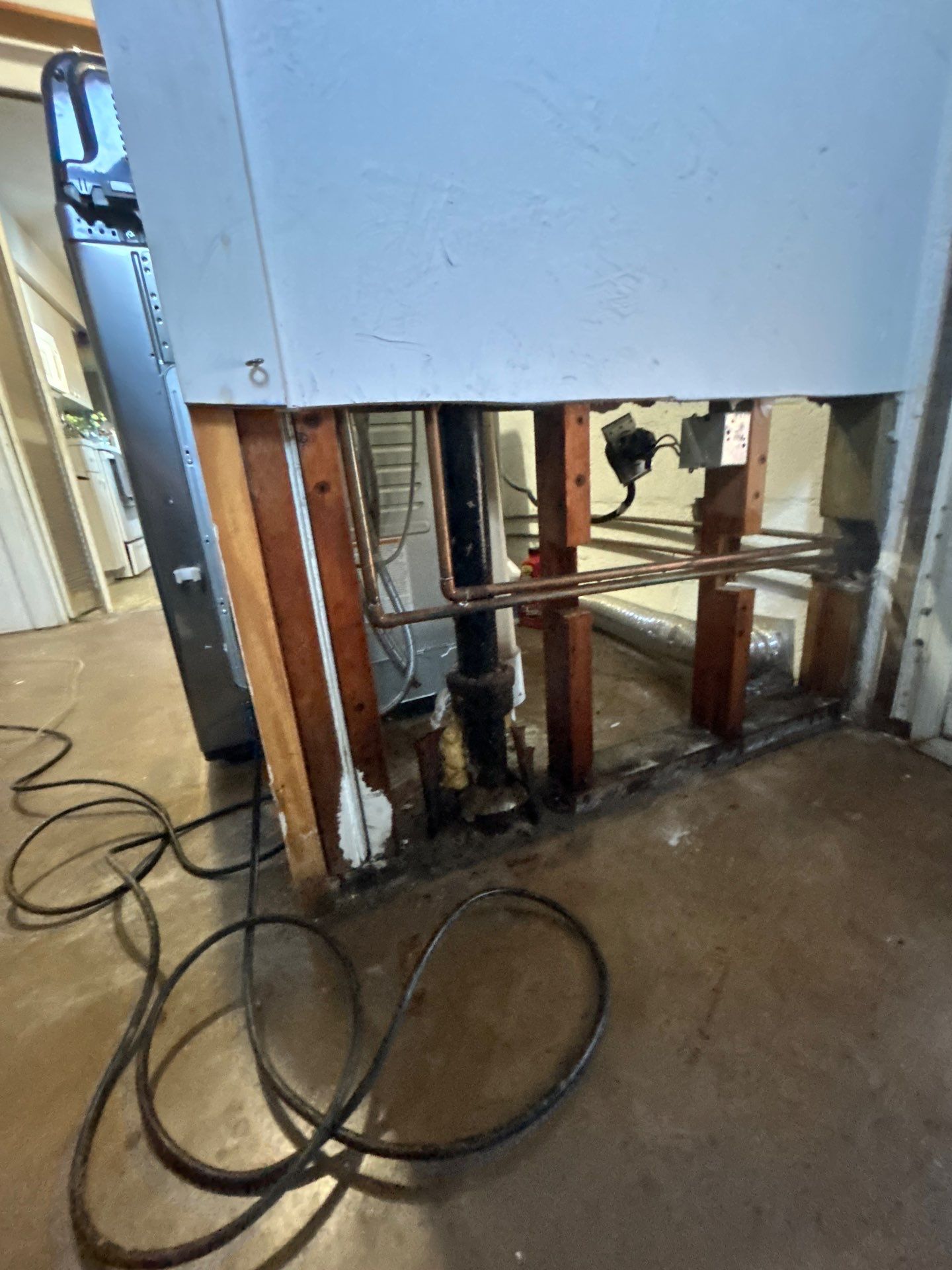 Mold Removal In Bradenton FL  by Ampm Restoration Services 