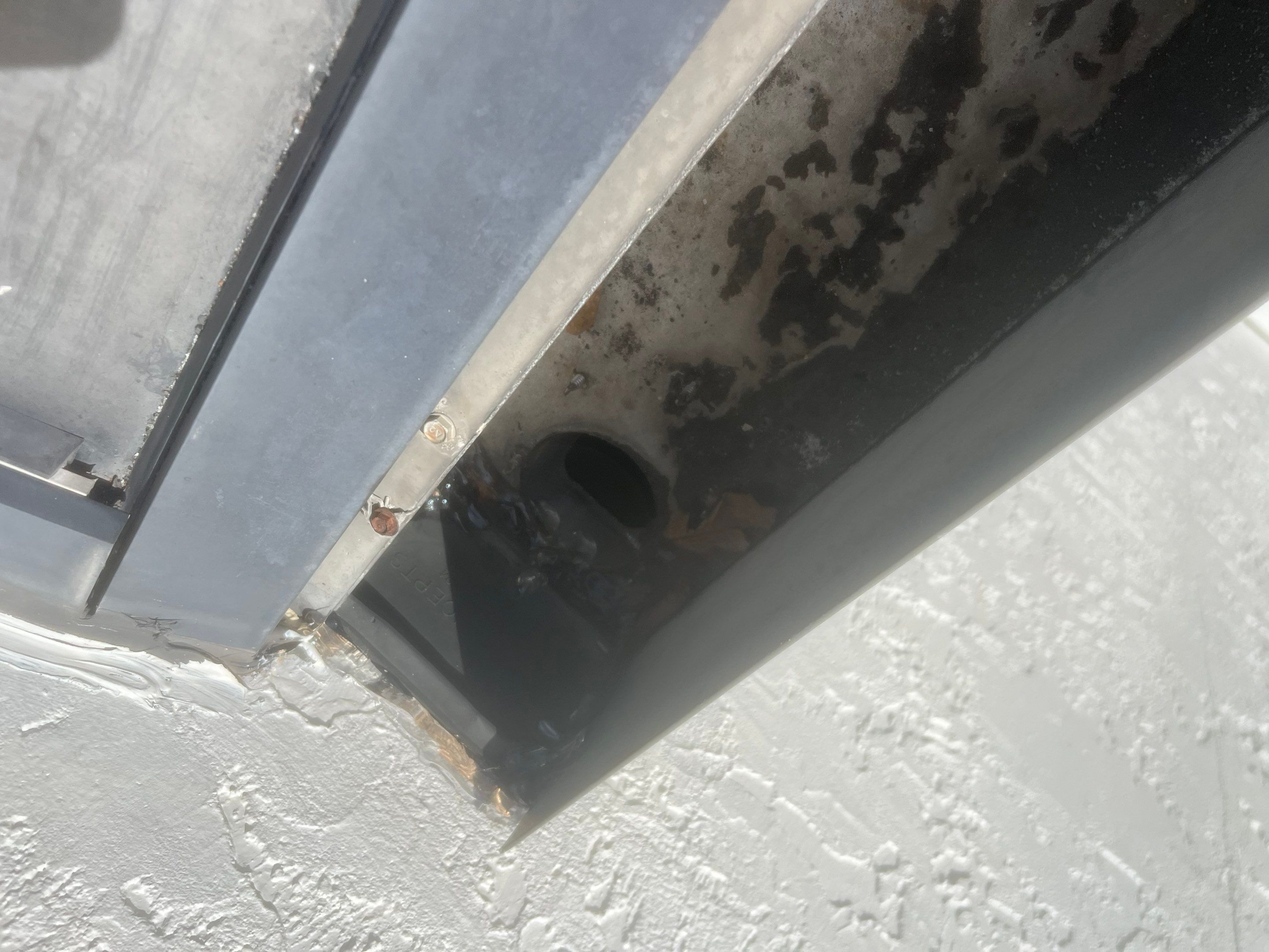 Professional Gutter Cleaning in Fort Myers FL by Gutter Professors