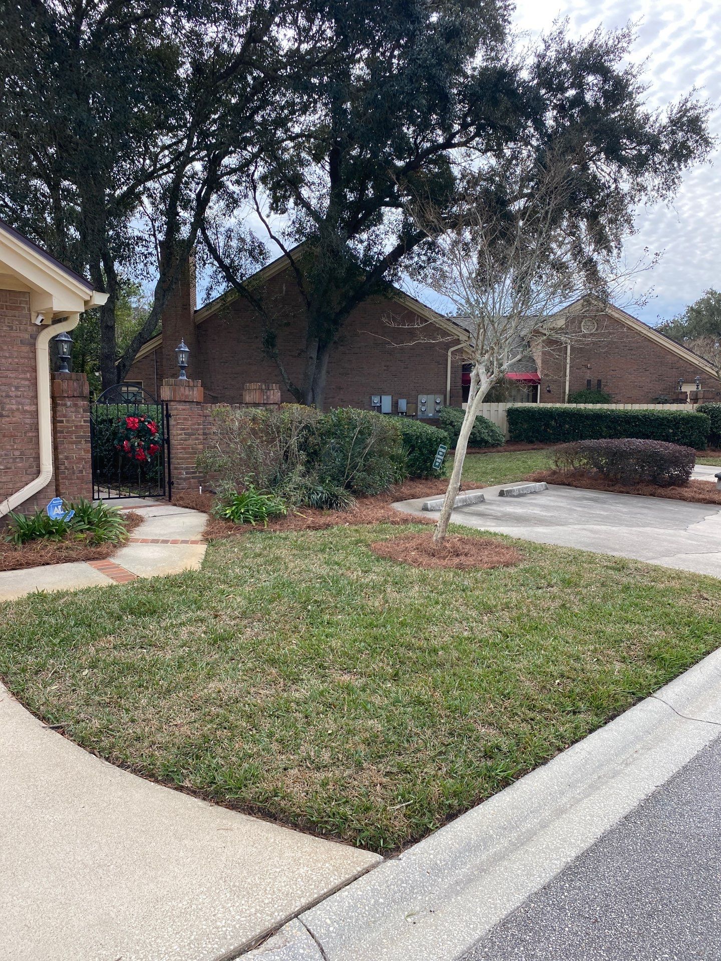 Deerwood Pointe | Tree Removal & Pine Straw Installation by ProGreen Services