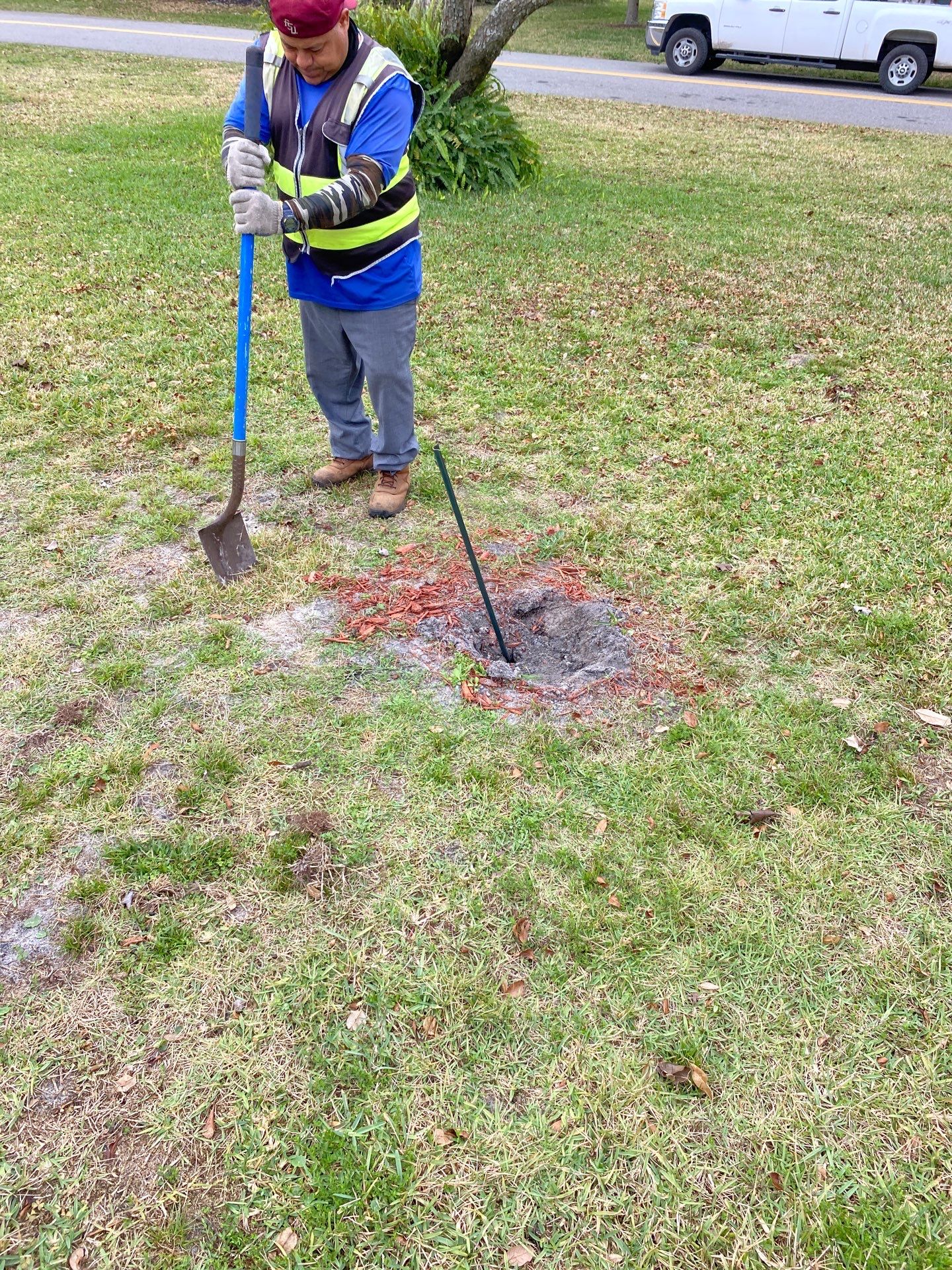 Deerwood | Live Oak Planting Project  by ProGreen Services