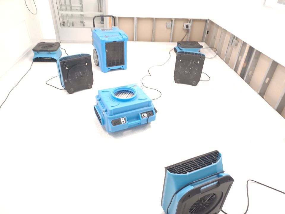 Project in Novi by EzDry Water Mitigation & Property Restoration