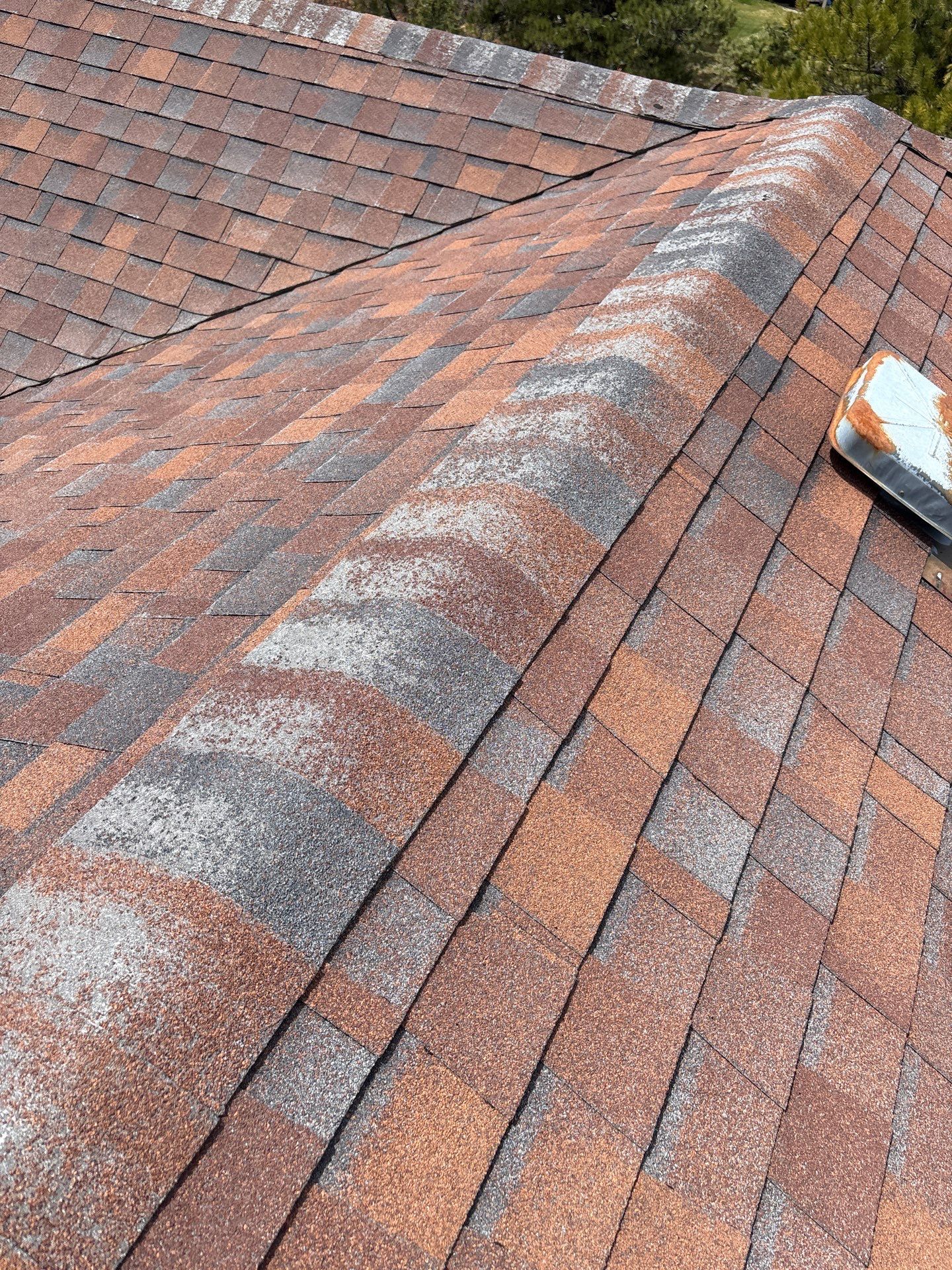 Malarkey Vista AR color antique brown by Golden Spike Roofing