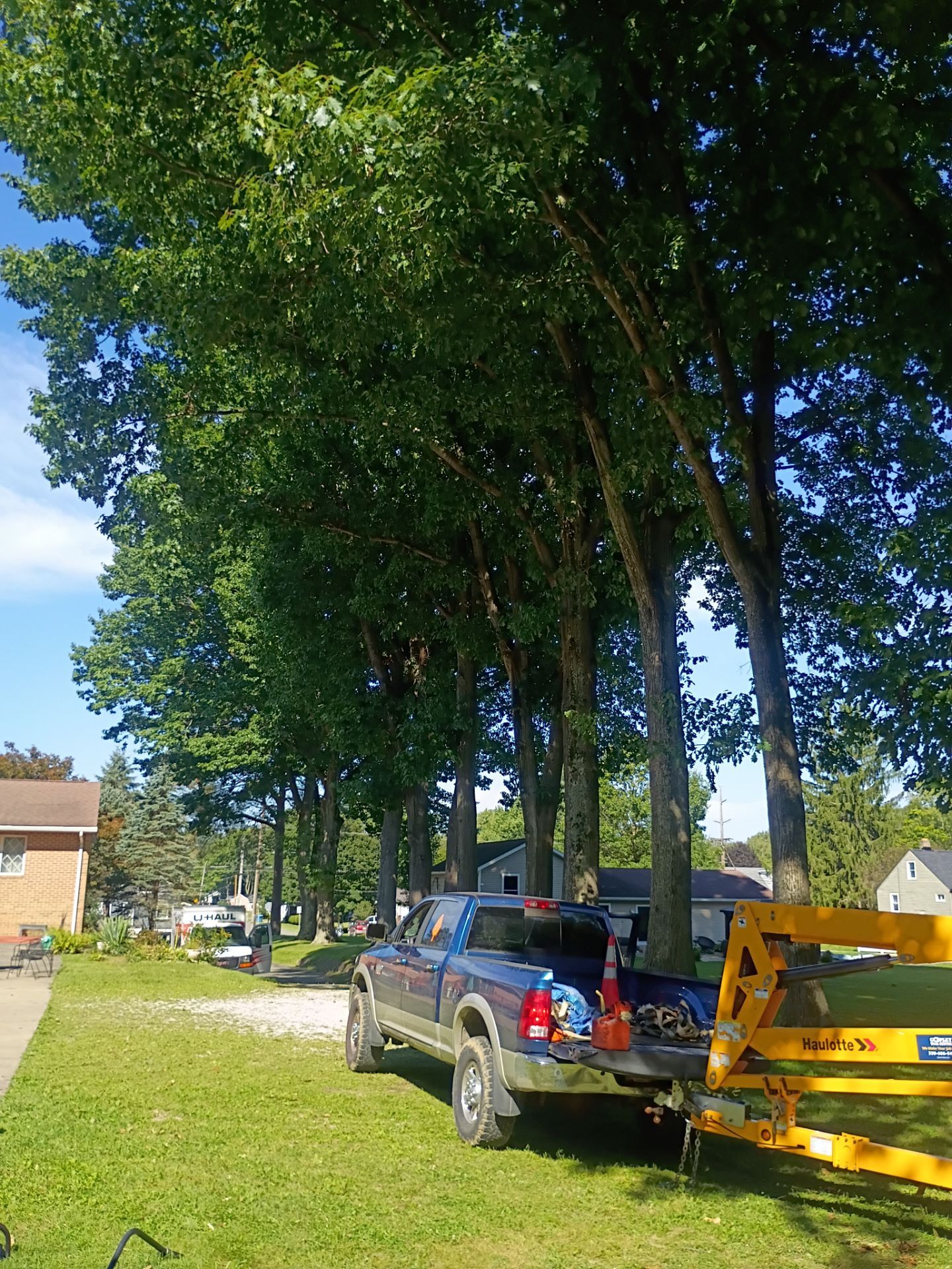 Tree Trimming & Tree Removal in Akron Ohio by Mike Jones & Sons Tree Service LLC 