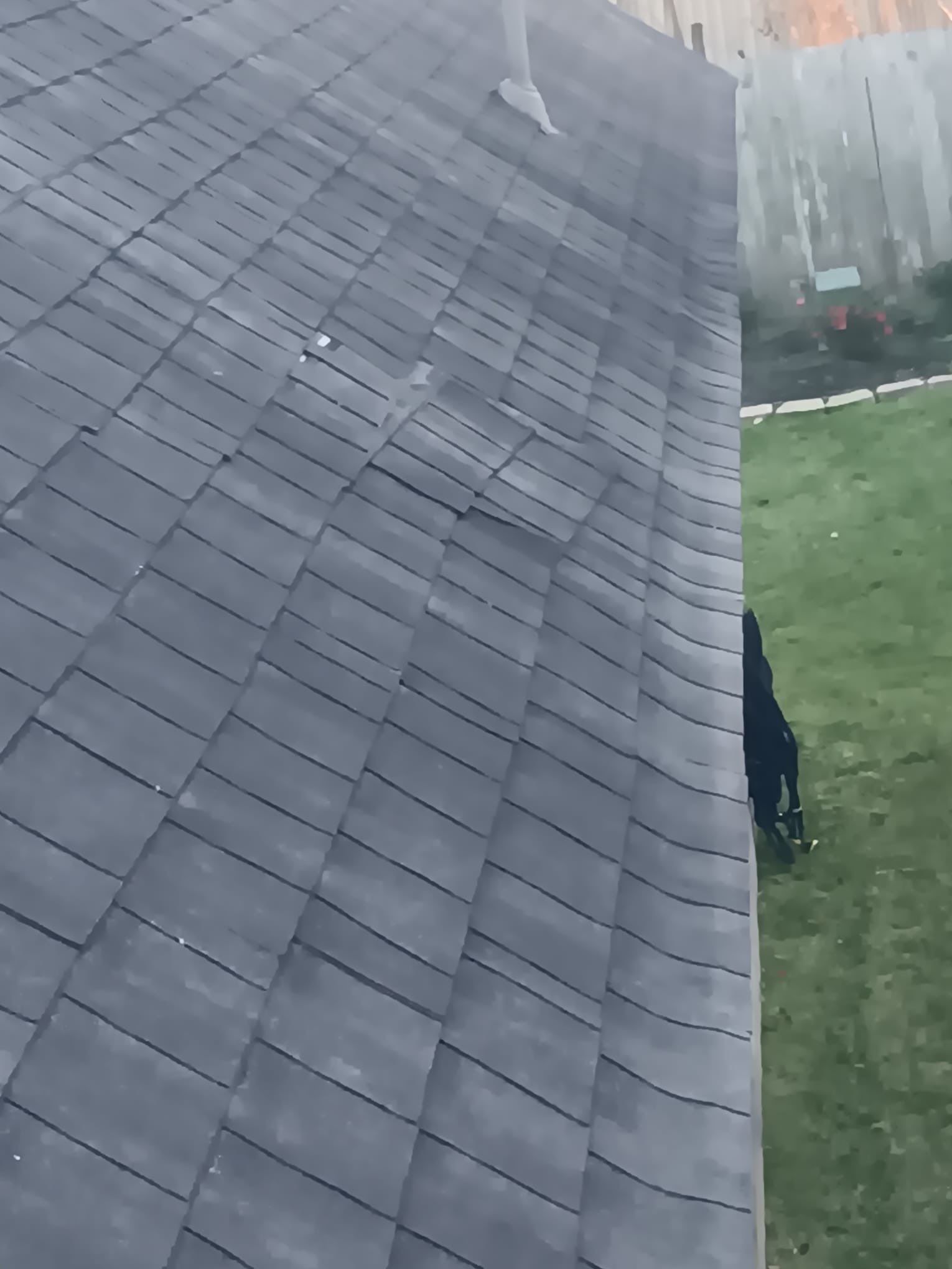 Roof Repair Richmond by Roof Repair Services LLC