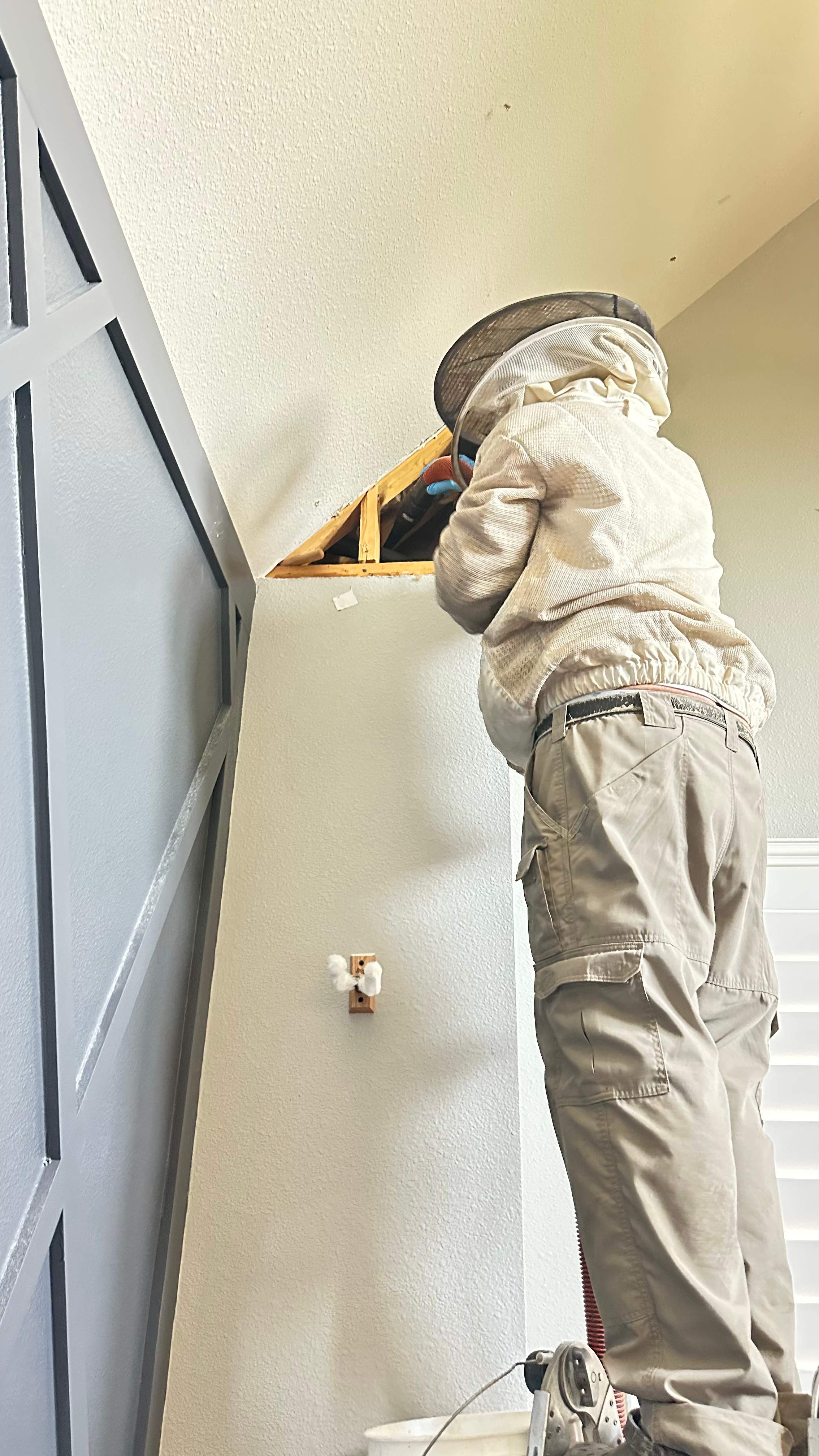 Interior Wall by Rockwall Honey Bee Company