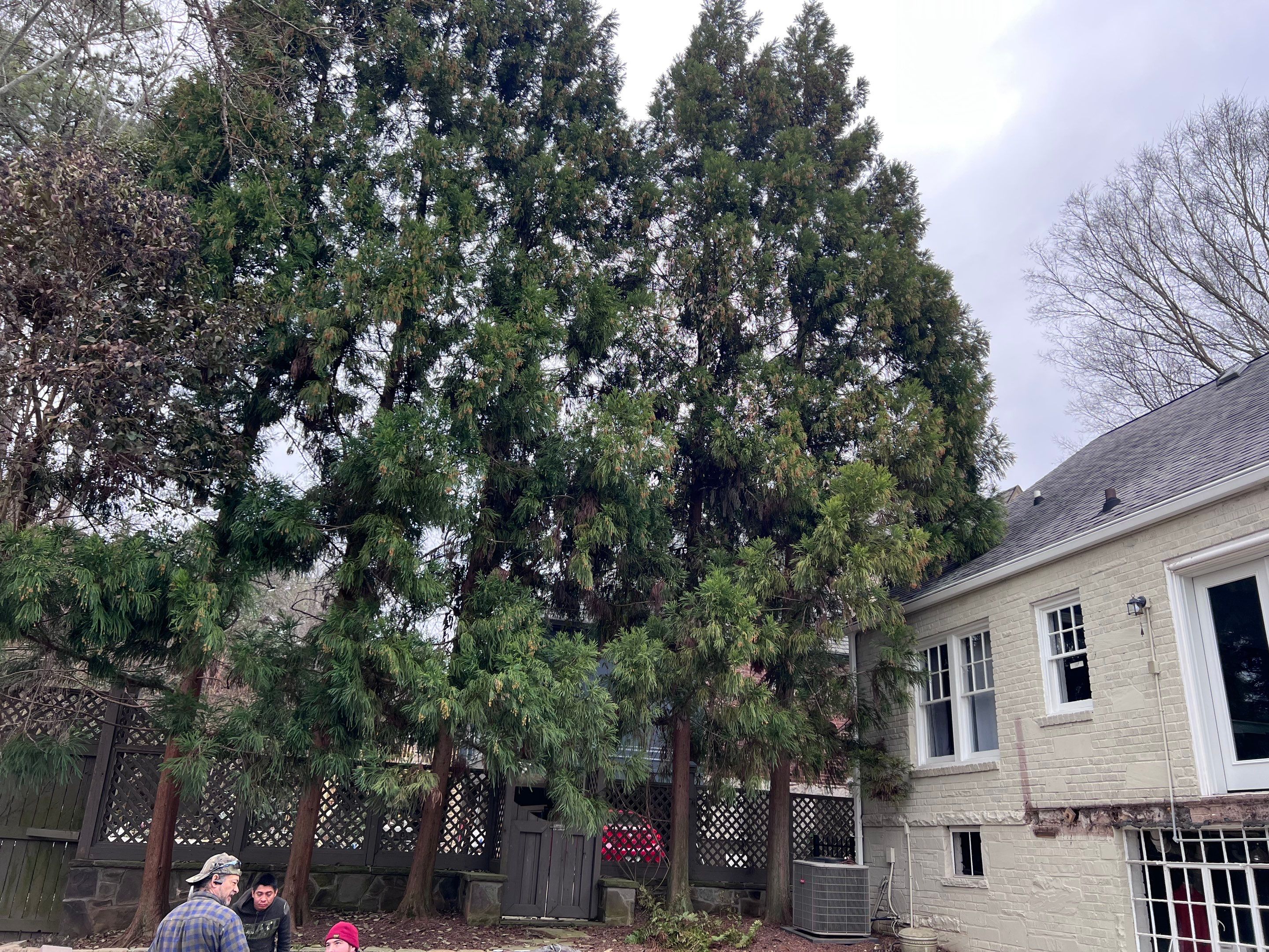 Deck in Atlanta by Atlanta Design Group