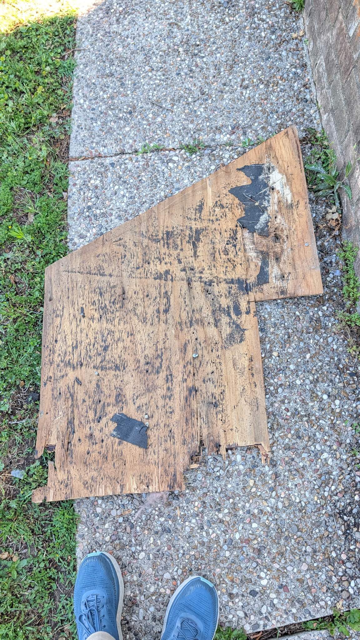 Project in Spring by Roof Guard And Construction
