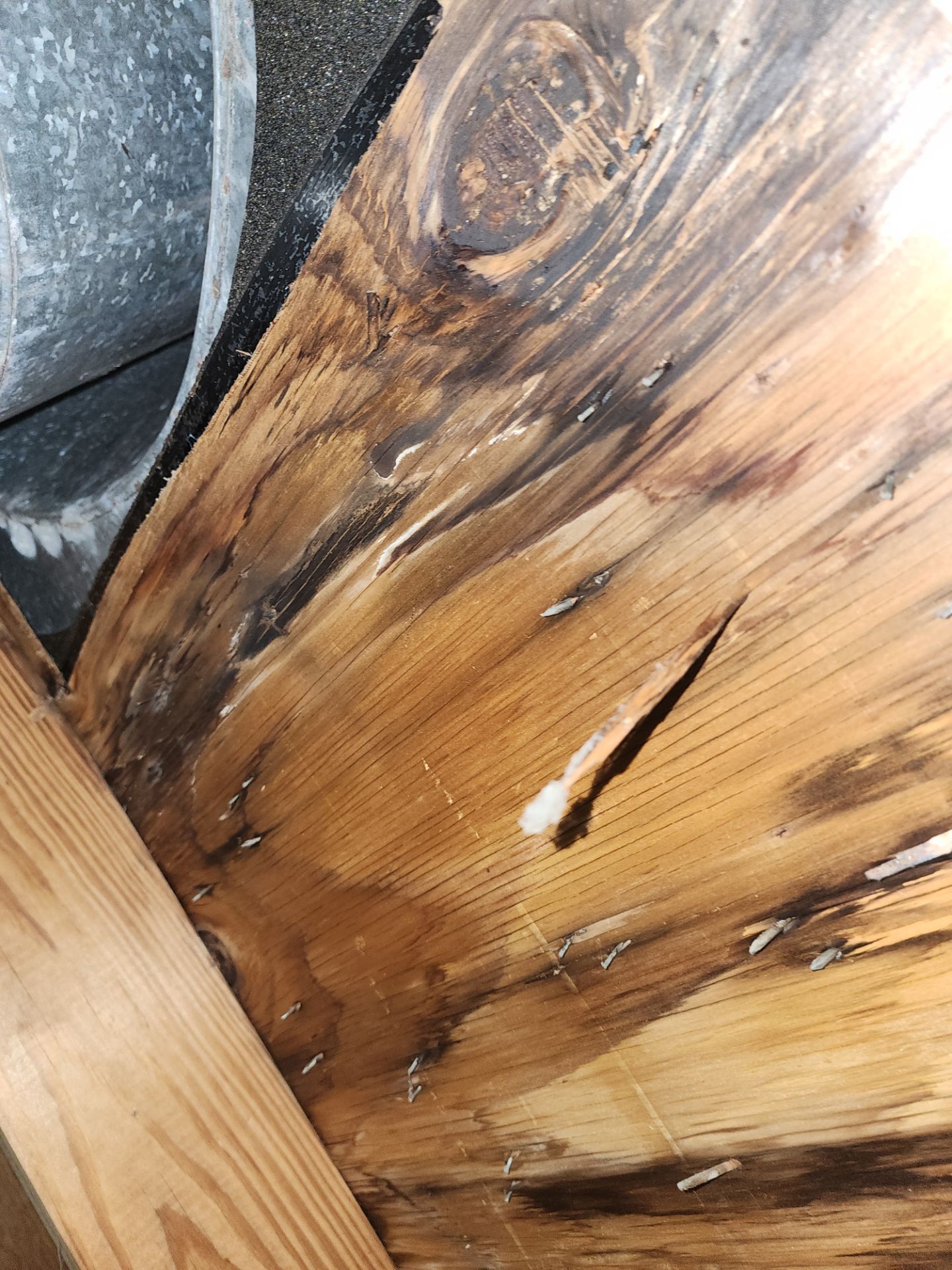 Hail Damage using Owen's Corning Duration (Lifetime) Shingles by Roof Repair Company