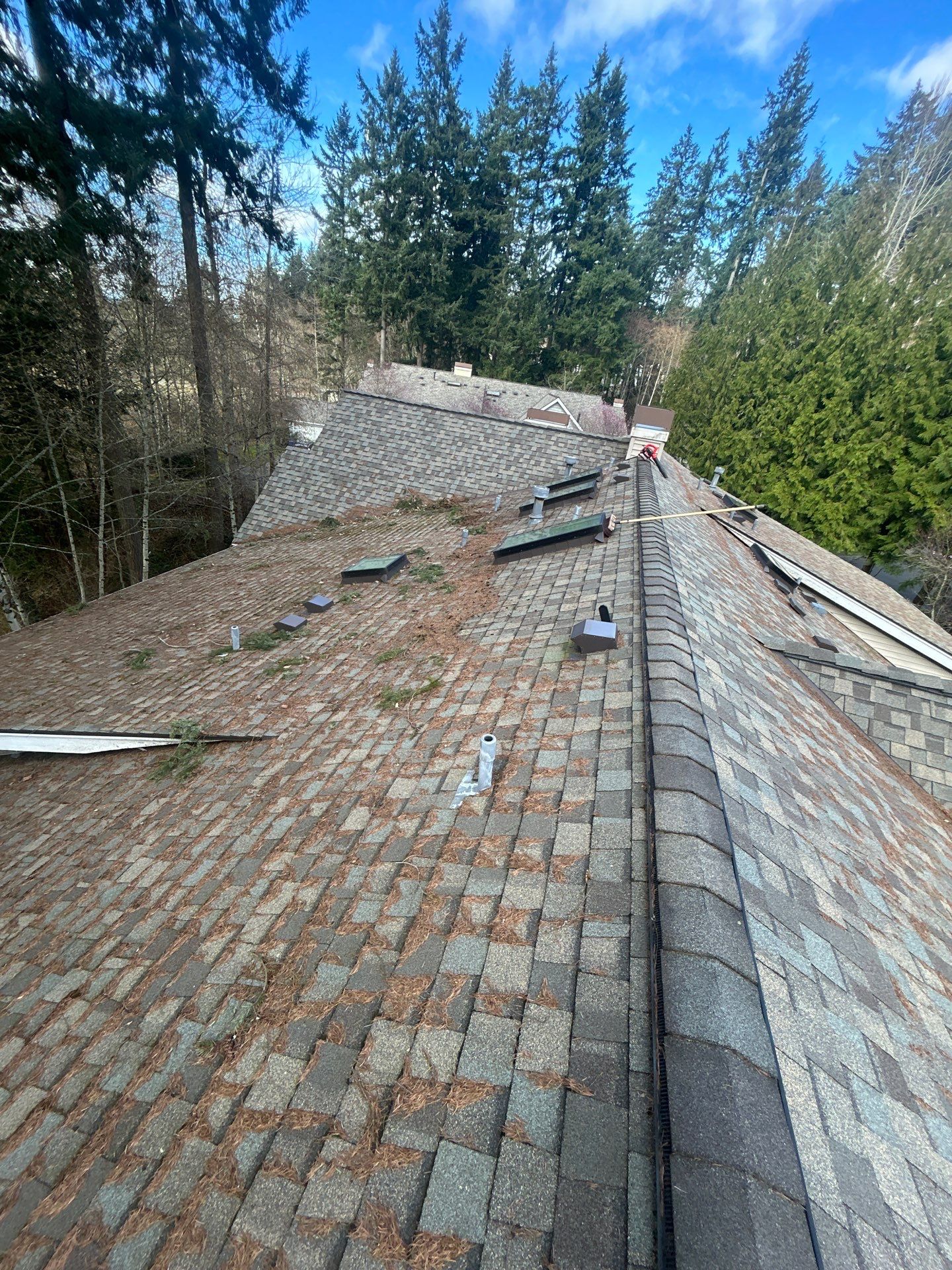 Project in Bothell by Peaks and Valleys Construction