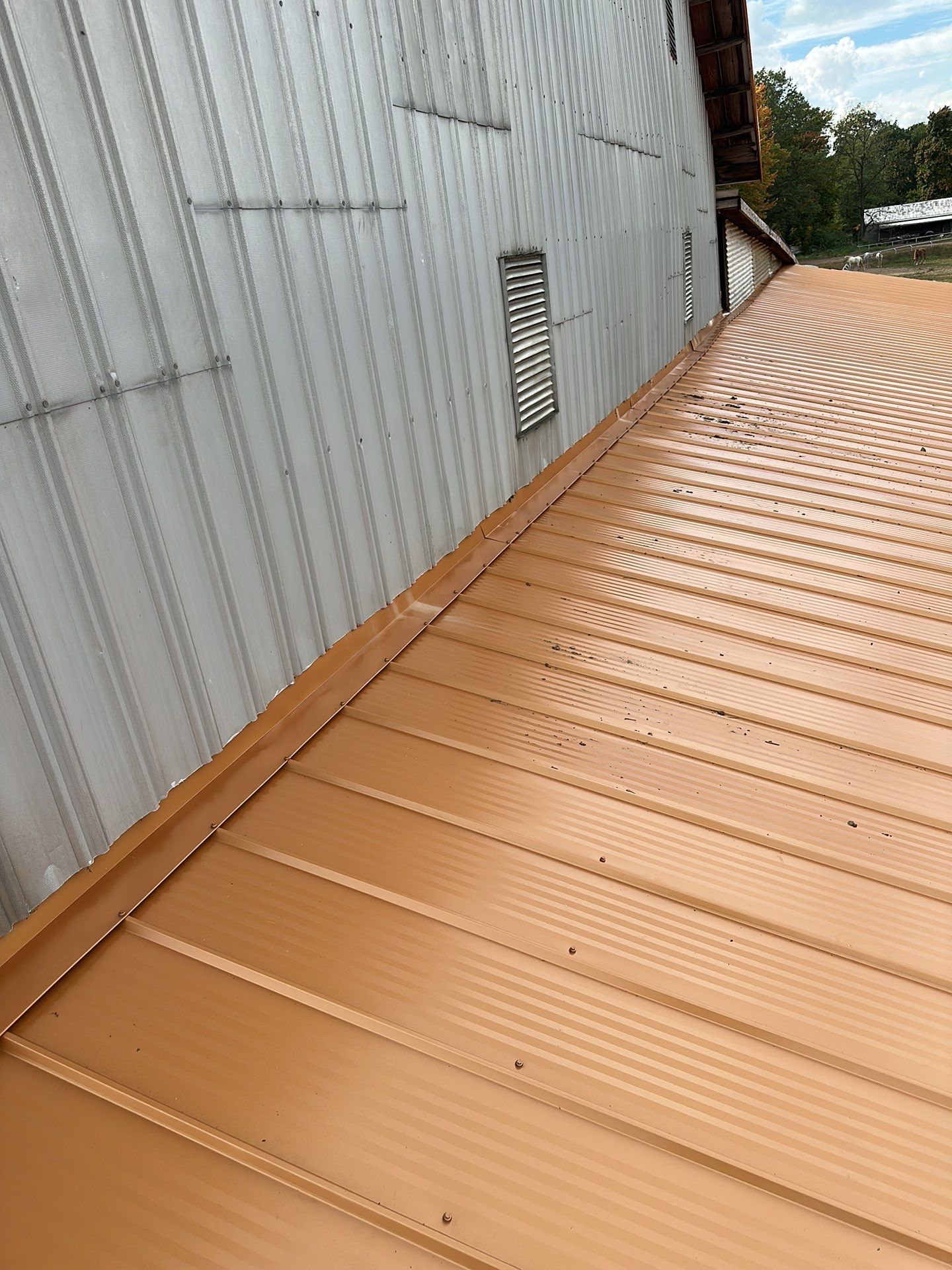 Weather Max, Color: Copper Metallic by Eagle Eye Roofing
