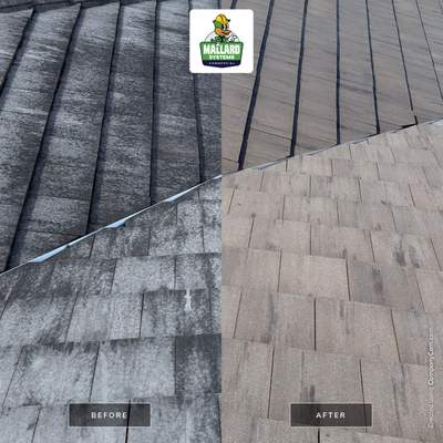 Residential Roof Cleaning in Winter Garden