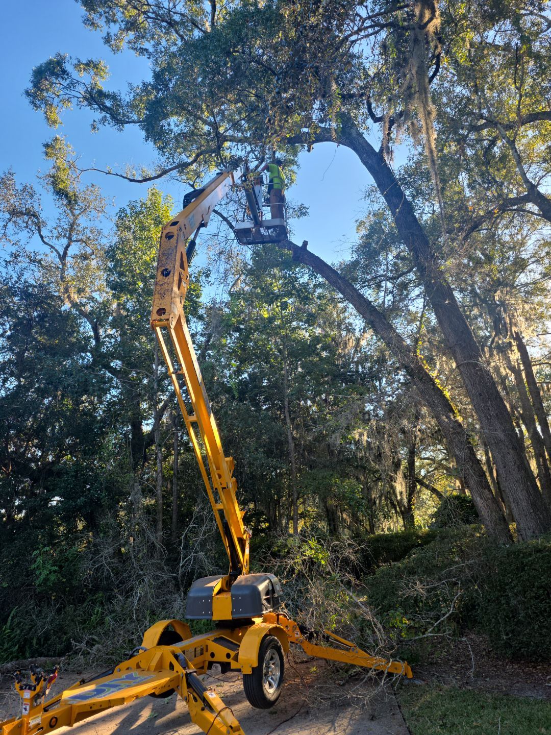 Deerwood Resident | Tree Removal & Trimming by ProGreen Services